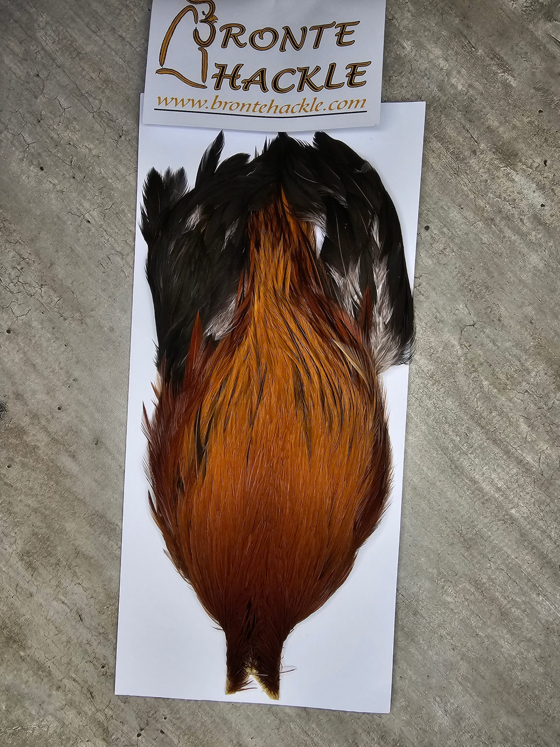 Bronte Hackle Cock Cape   cc-2025-3