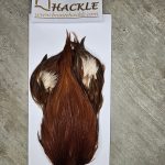 Bronte Hackle Cock Cape   cc-2025-8