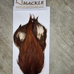 Bronte Hackle Cock Cape   cc-2025-8