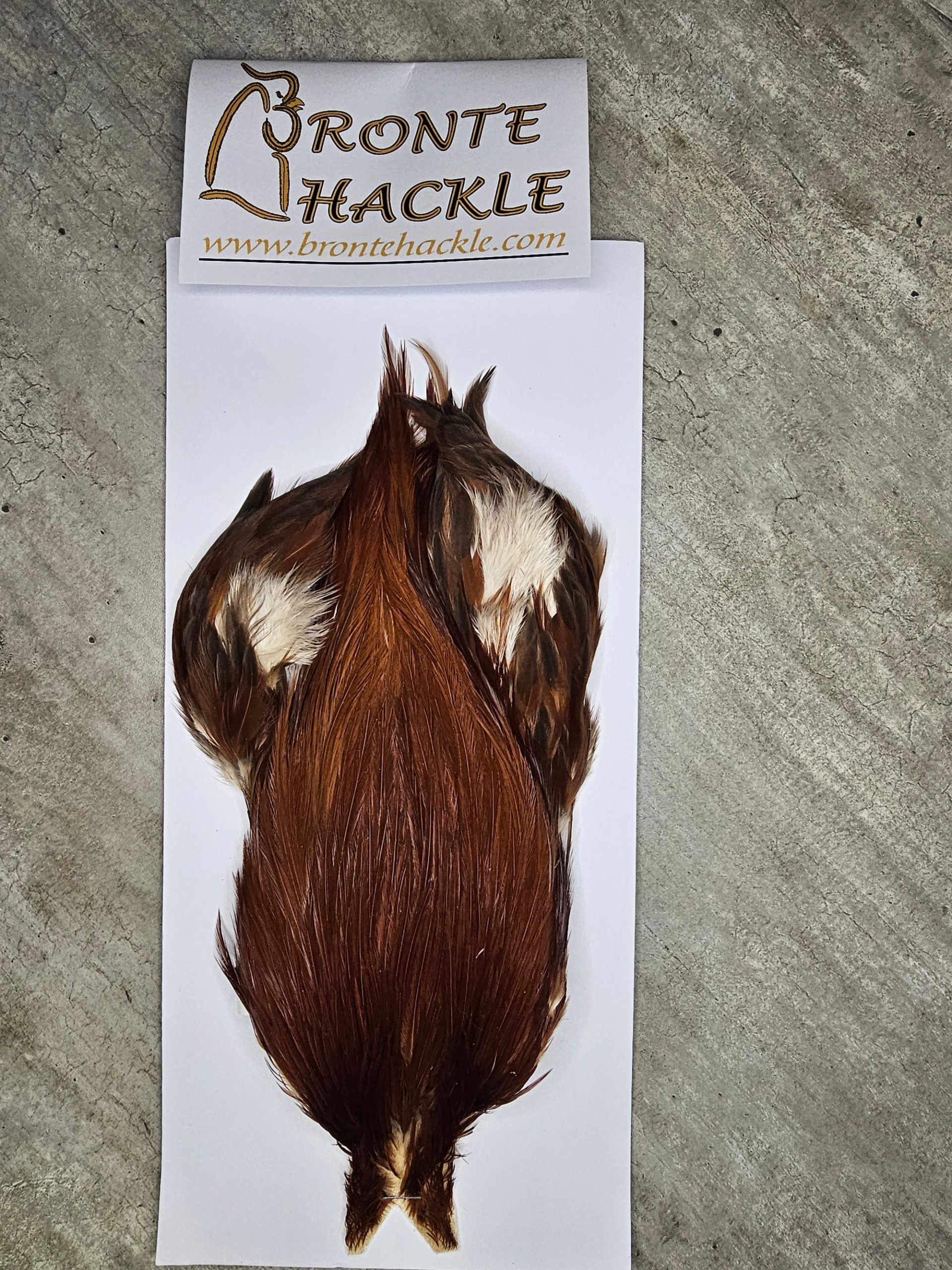 Bronte Hackle Cock Cape   cc-2025-8