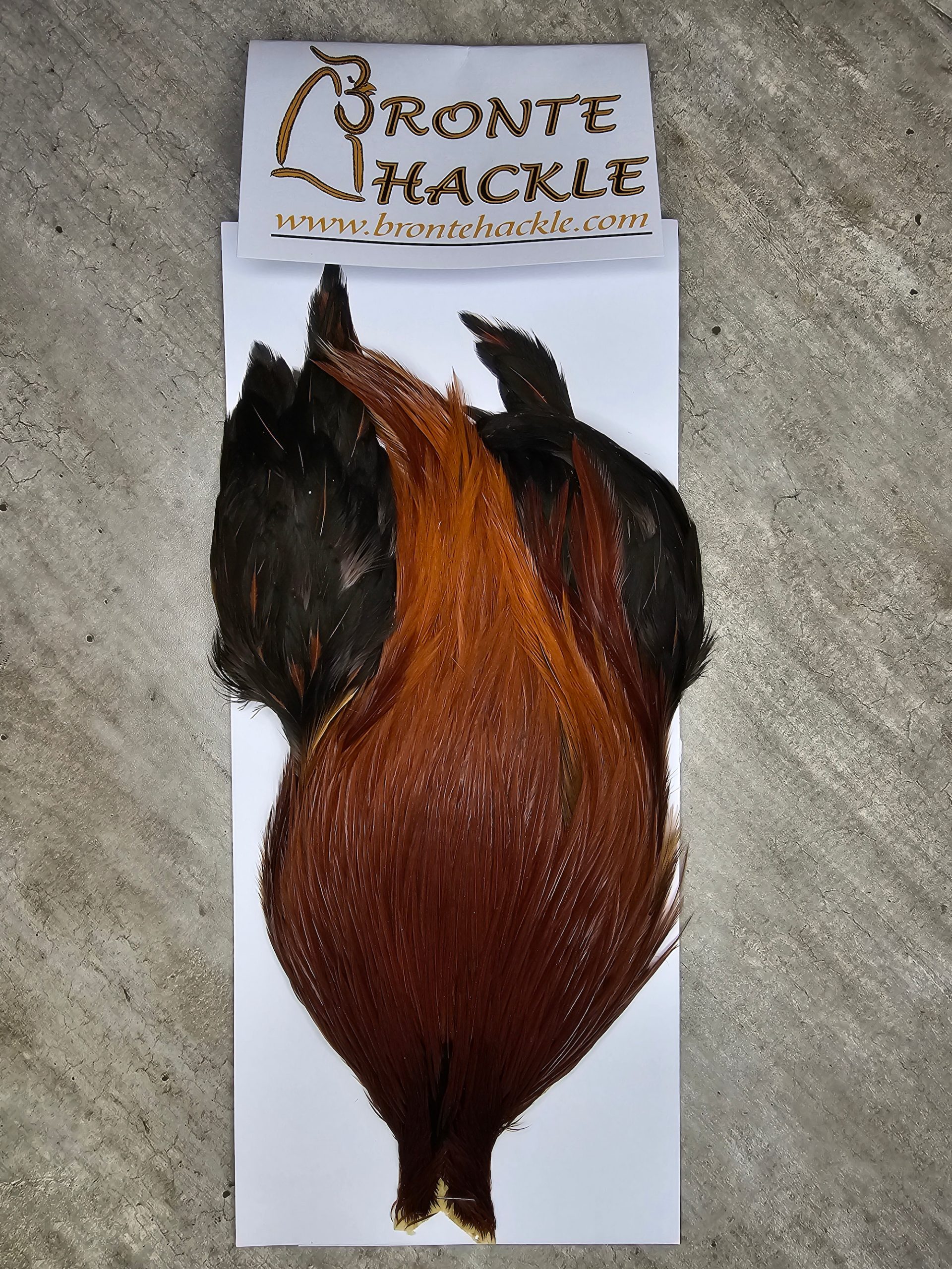 Bronte Hackle Cock Cape   cc-2026-58