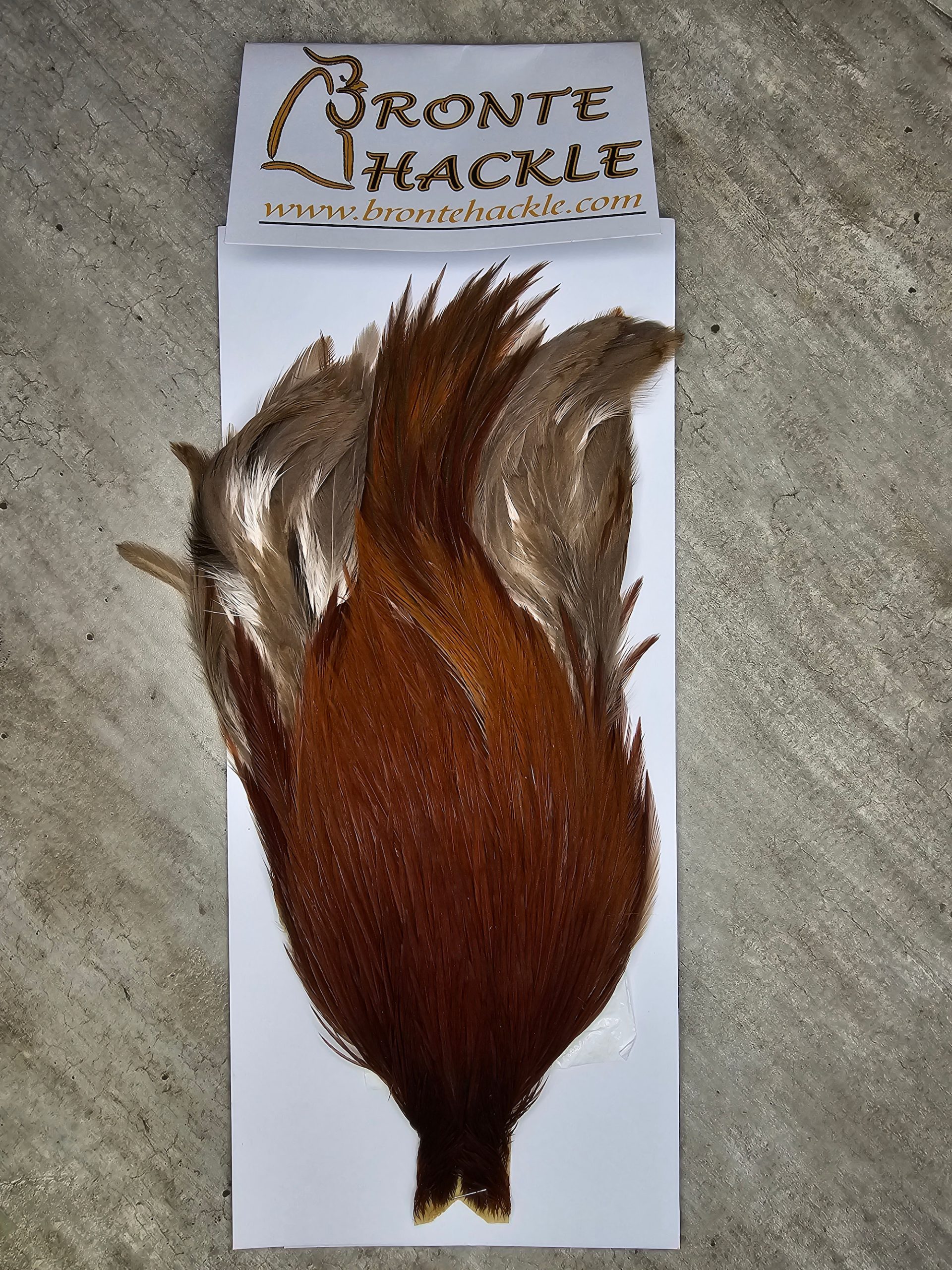 Bronte Hackle Cock Cape   cc-2026-59