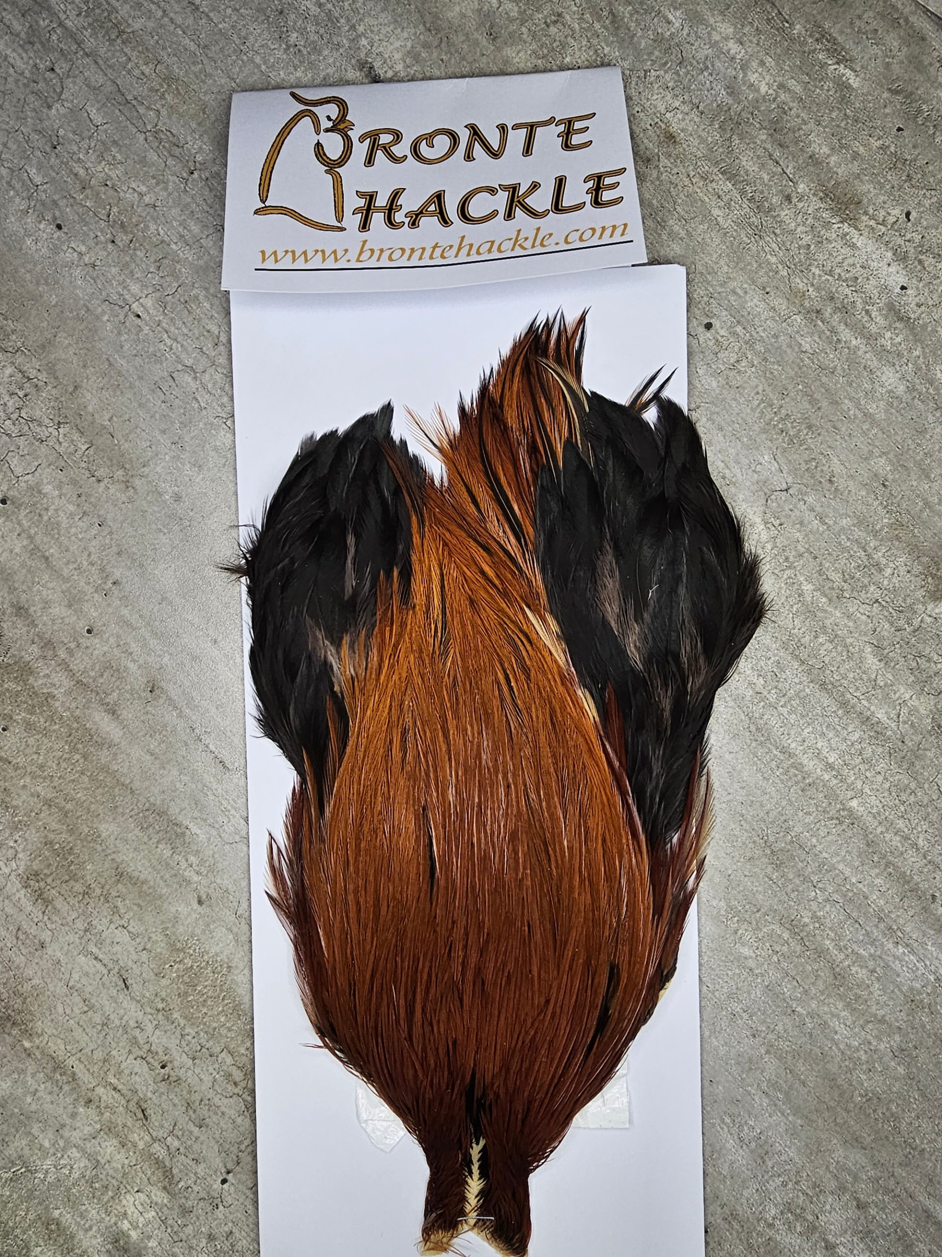 Bronte Hackle Cock Cape   cc-2026-60