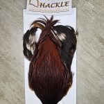 Bronte Hackle Cock Cape   cc-2026-61