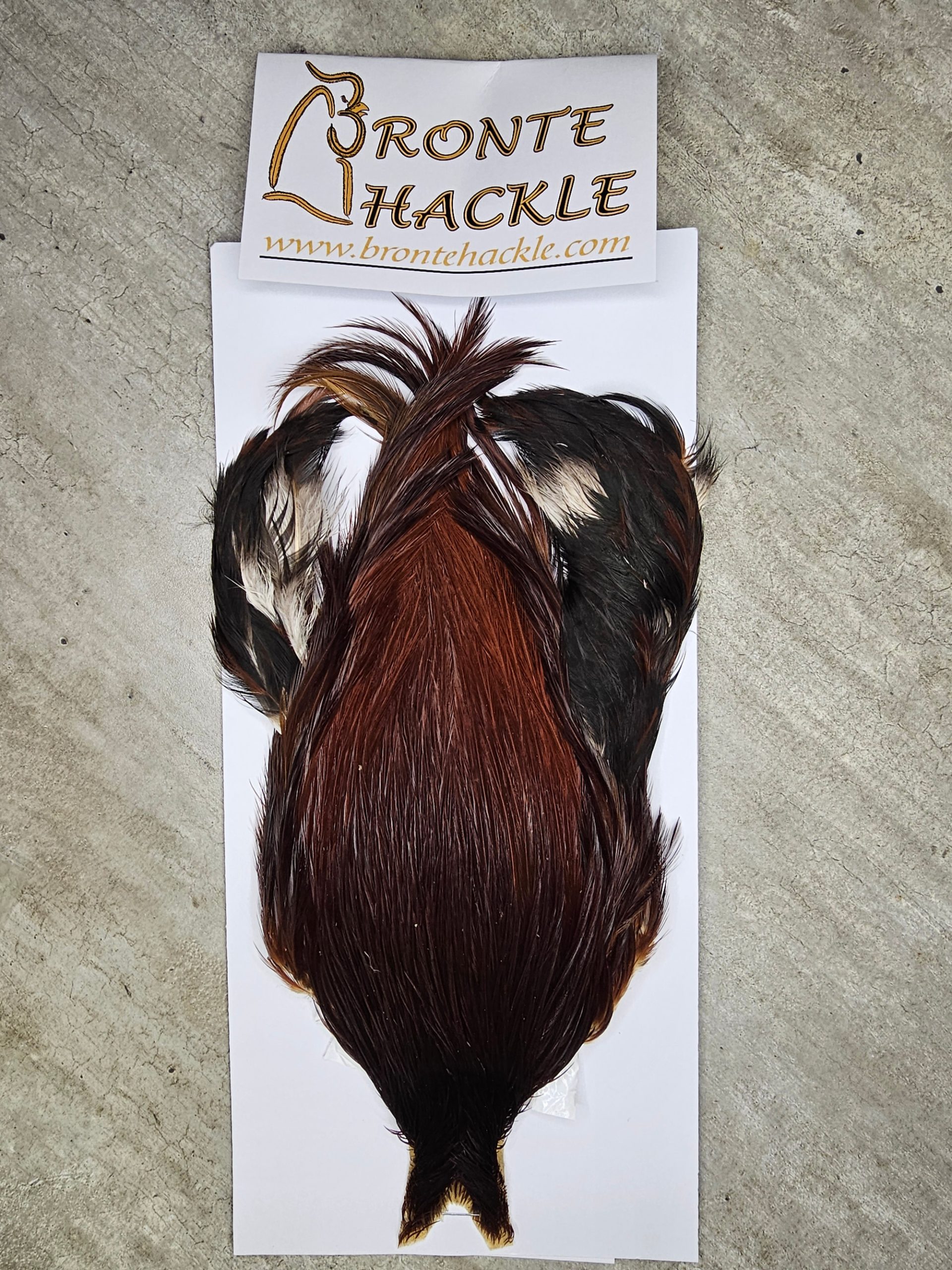 Bronte Hackle Cock Cape   cc-2026-61