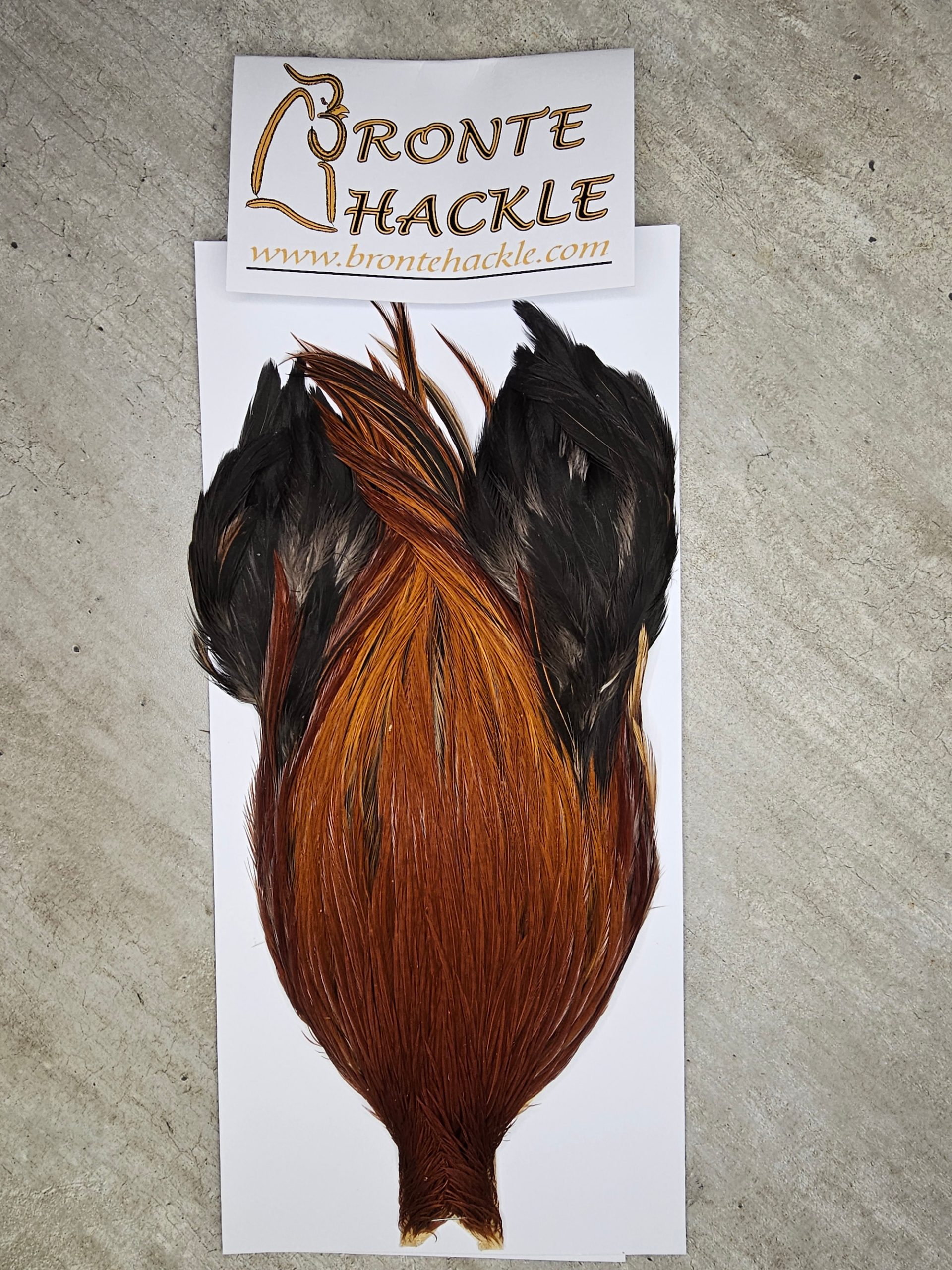 Bronte Hackle Cock Cape   cc-2026-62