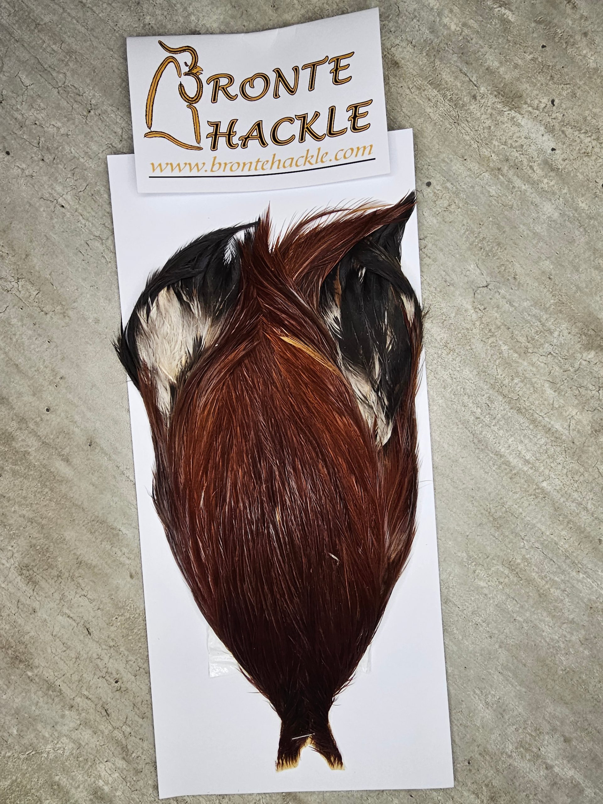 Bronte Hackle Cock Cape   cc-2026-63