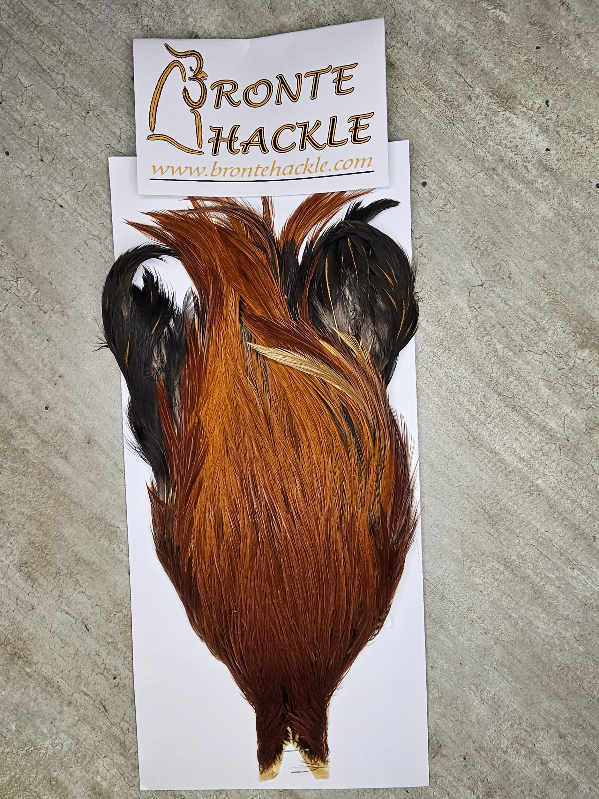 Bronte Hackle Cock Cape   cc-2026-64