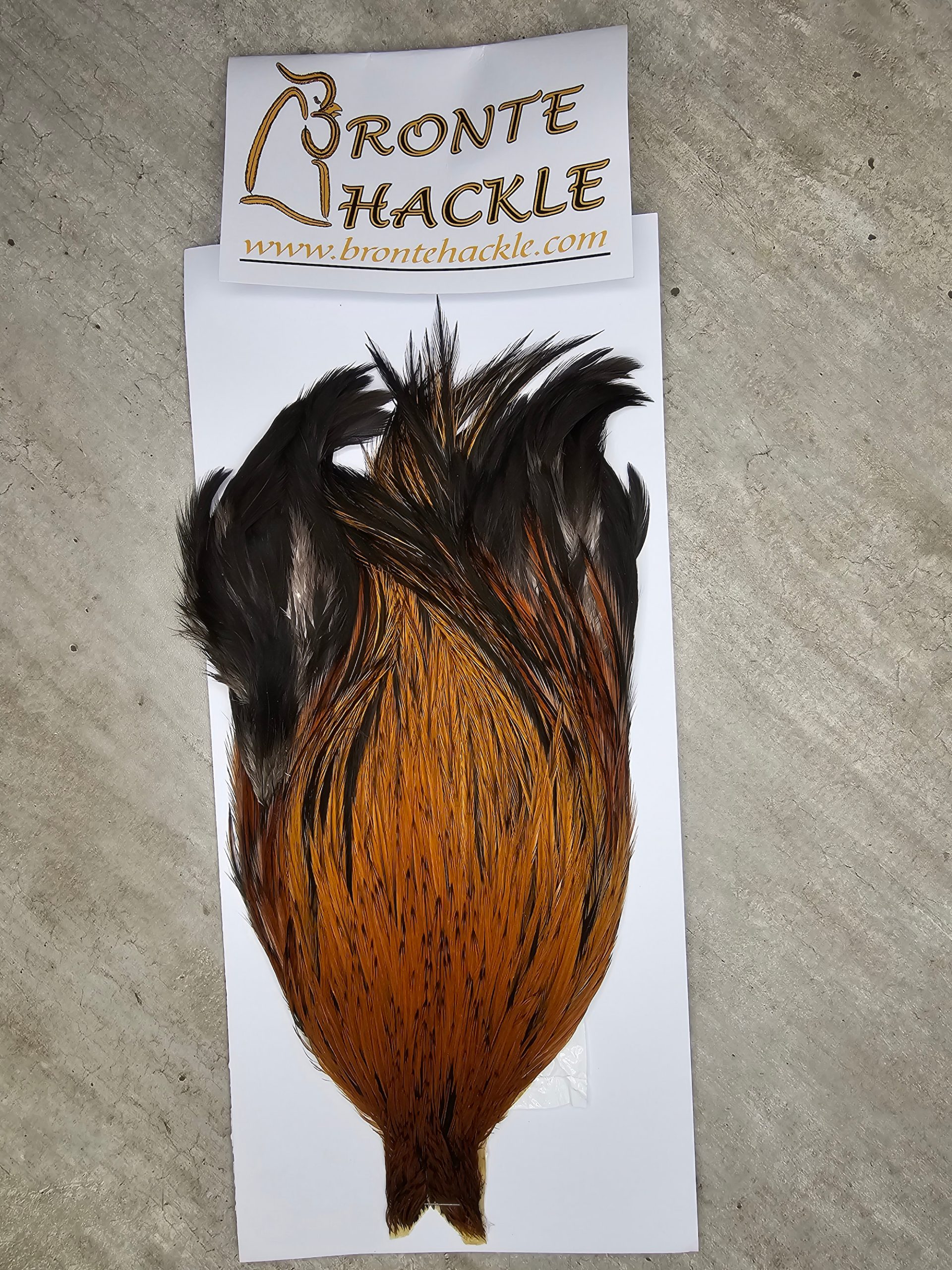 Bronte Hackle Cock Cape   cc-2026-65