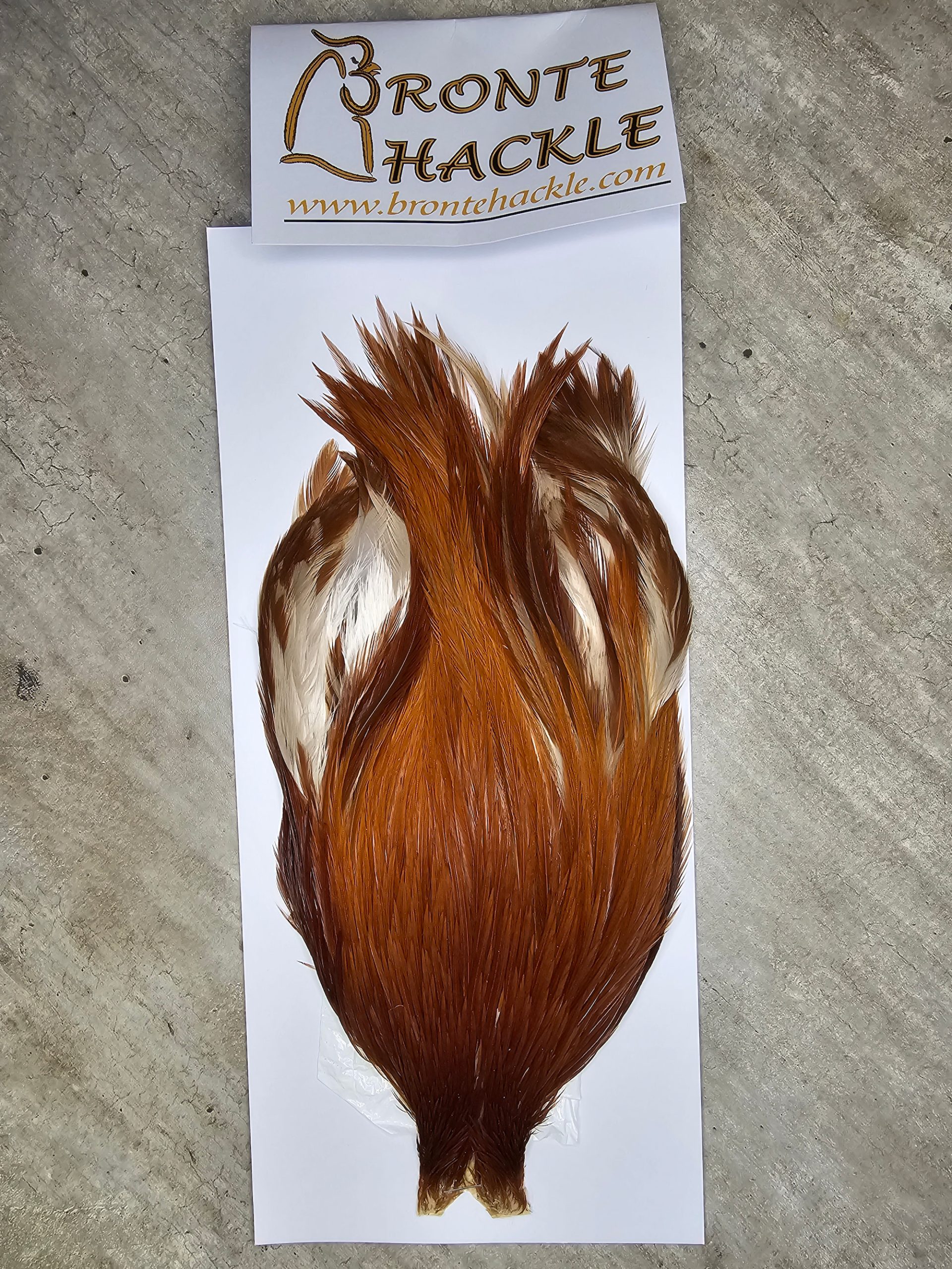 Bronte Hackle Cock Cape   cc-2026-66