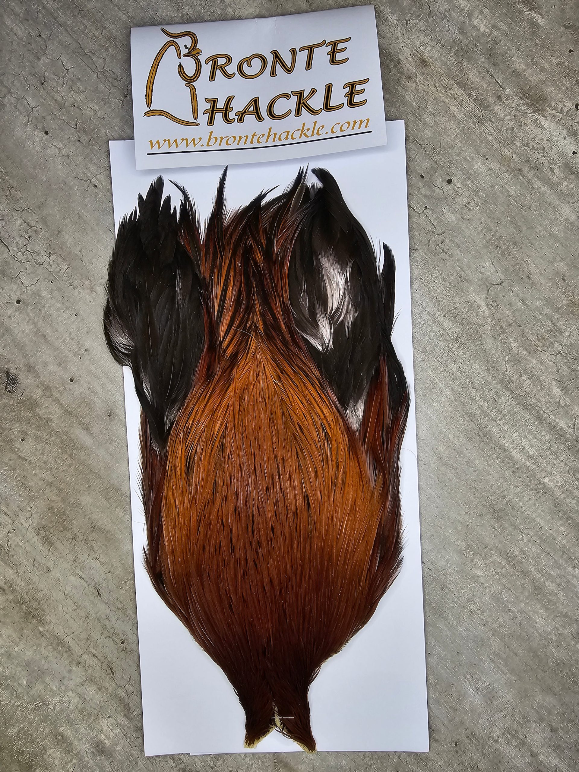 Bronte Hackle Cock Cape   cc-2025-6
