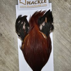 Bronte Hackle Cock Cape   cc-2026-68