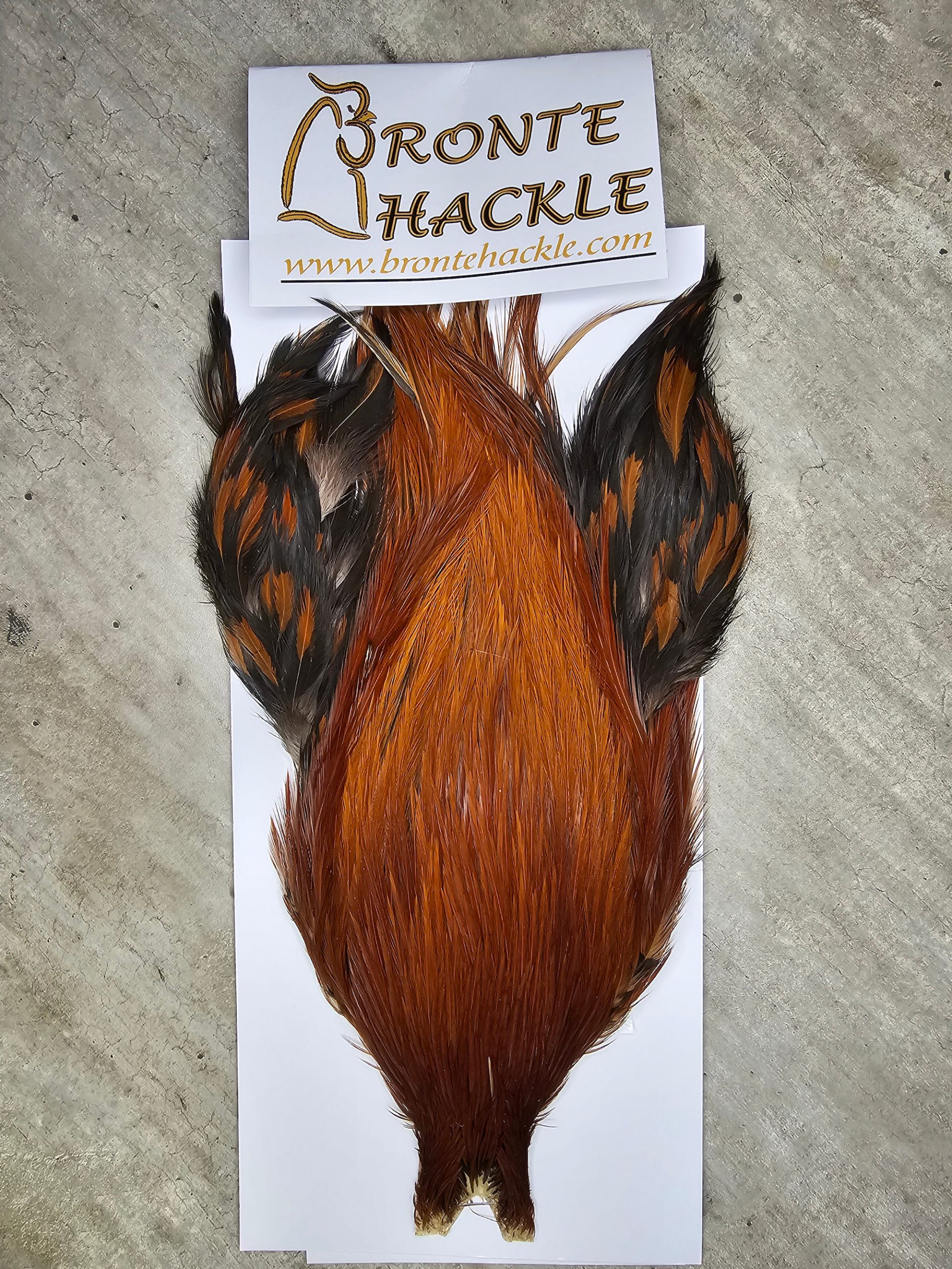 Bronte Hackle Cock Cape   cc-2026-69