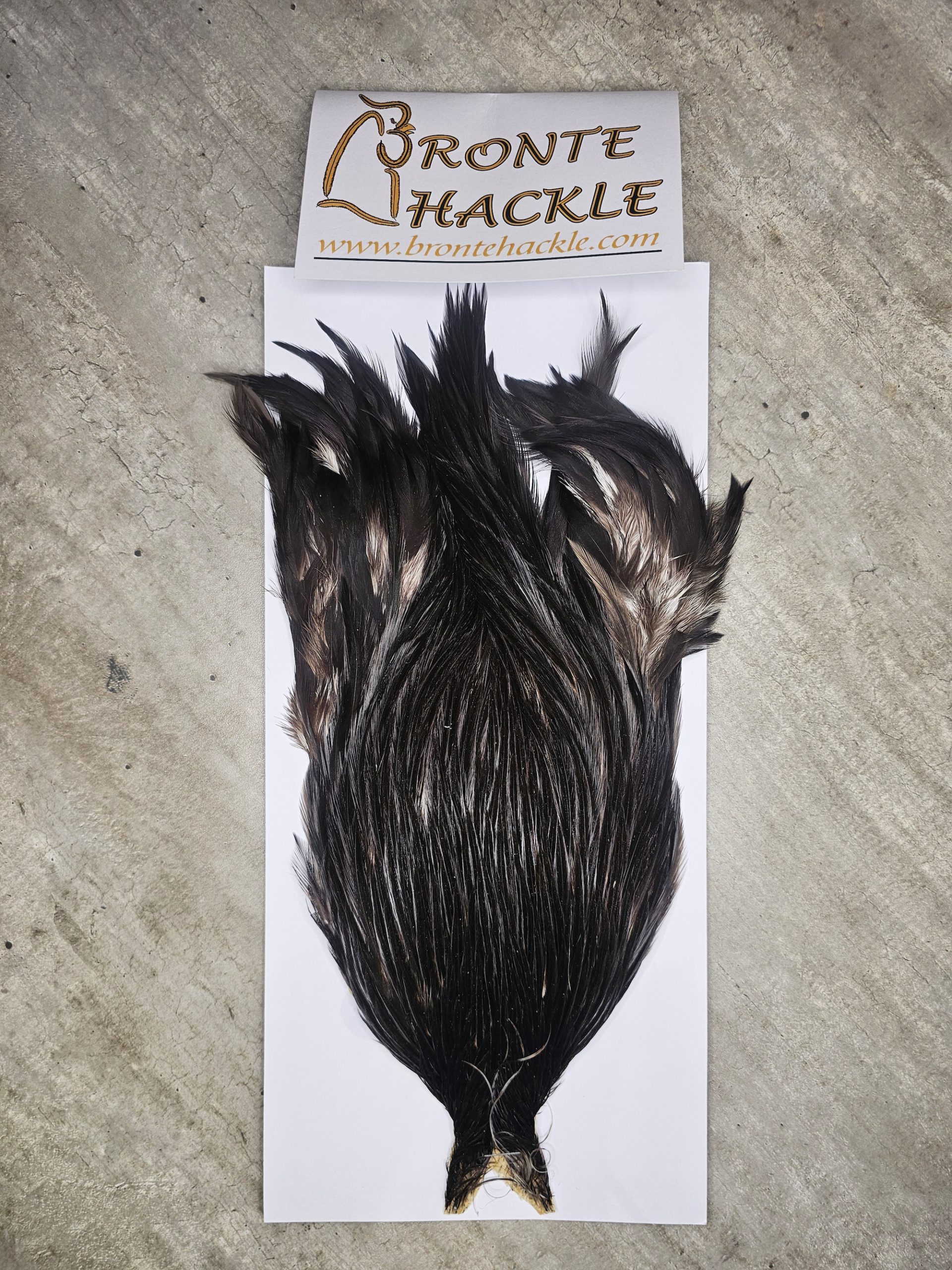 Bronte Hackle Cock Cape   cc-2025-4