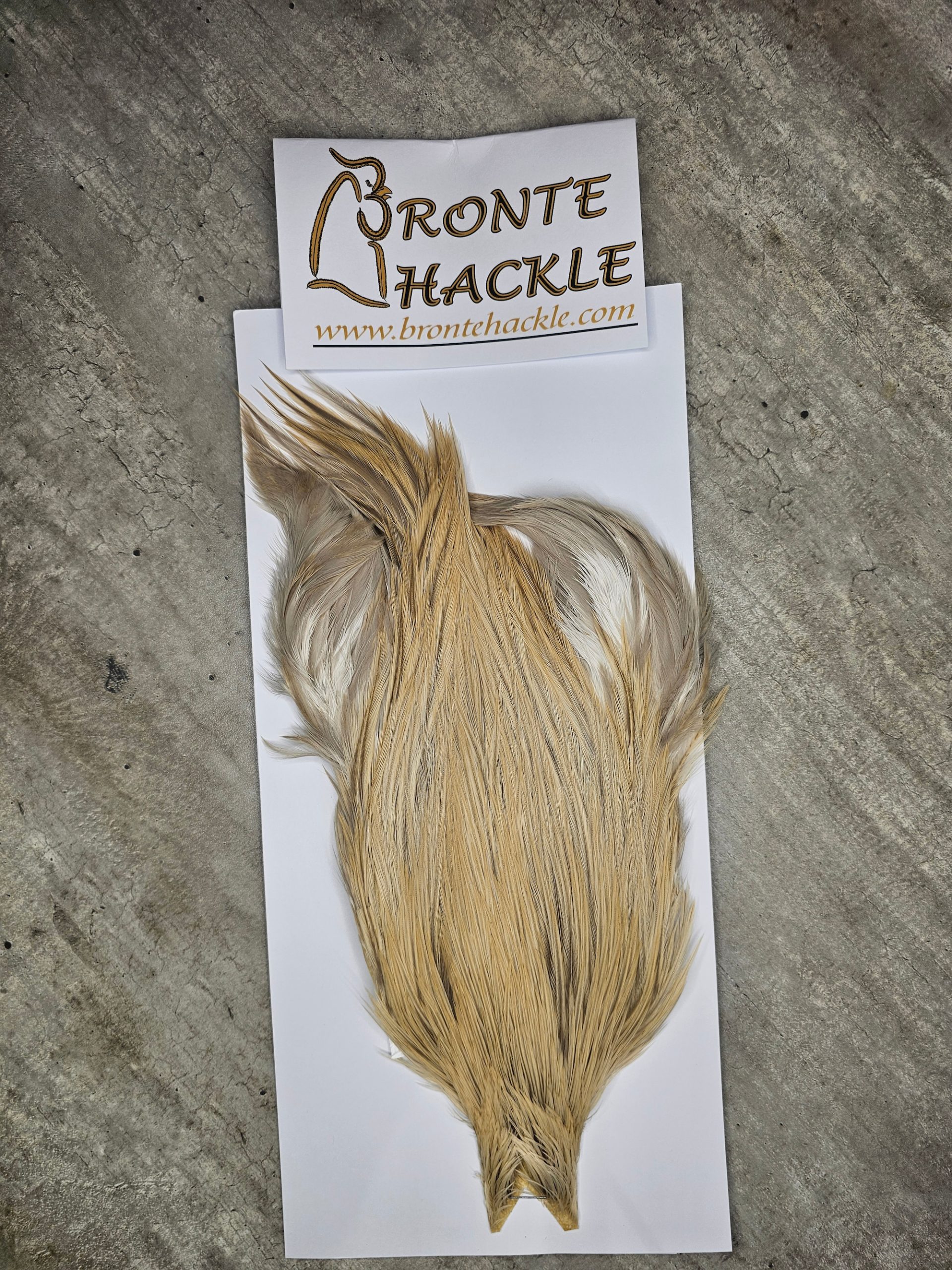 Bronte Hackle Cock Cape   cc-2026-70