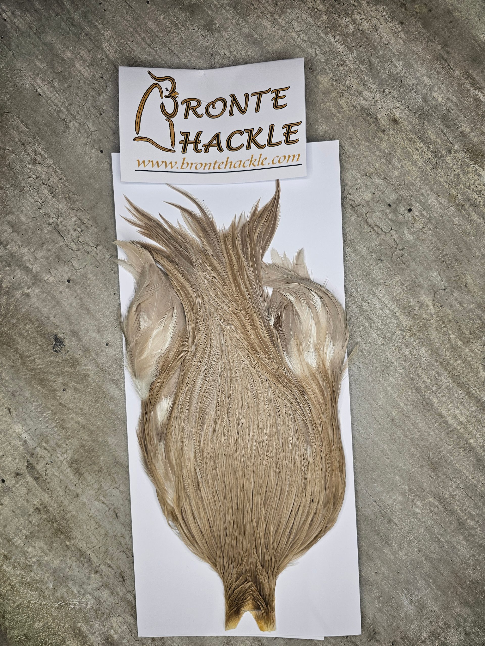 Bronte Hackle Cock Cape   cc-2026-71