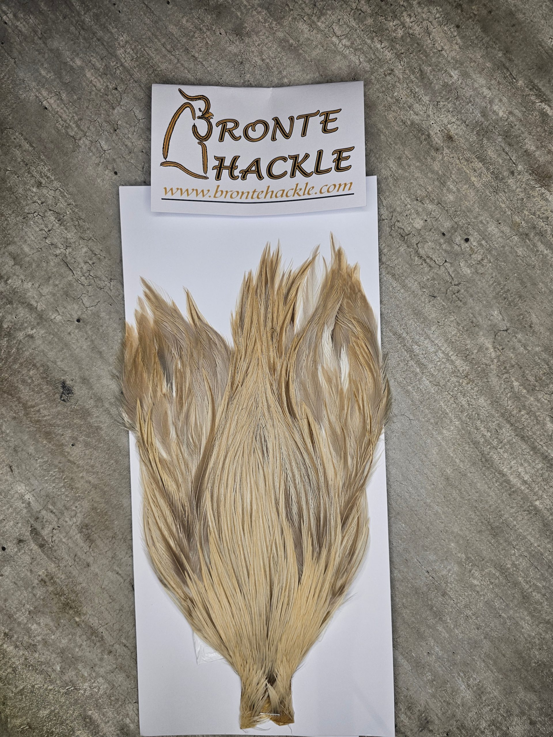Bronte Hackle Cock Cape   cc-2026-73