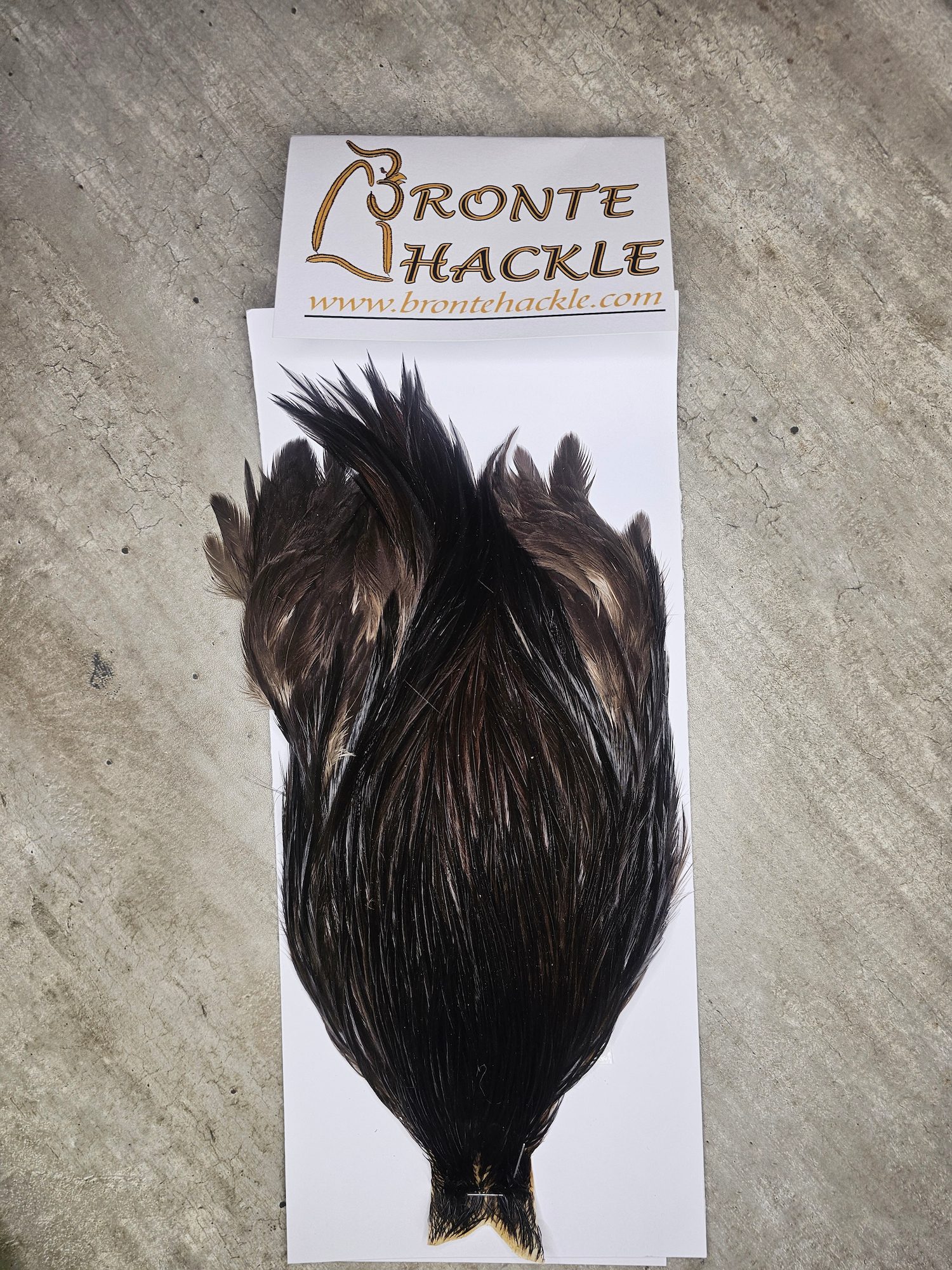 Bronte Hackle Cock Cape   cc-2026-74