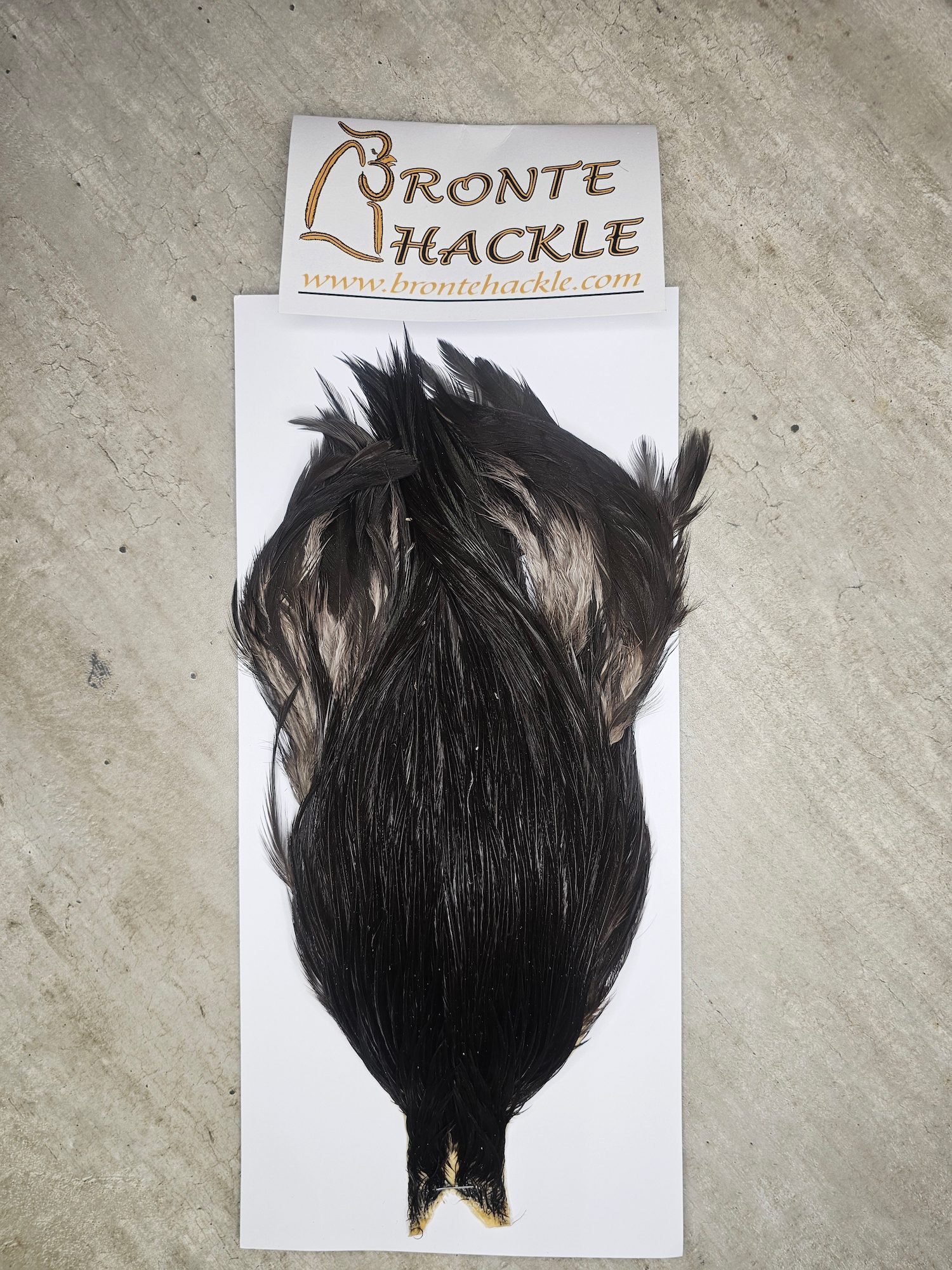 Bronte Hackle Cock Cape   cc-2026-76