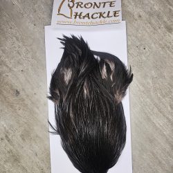 Bronte Hackle Cock Cape   cc-2026-77