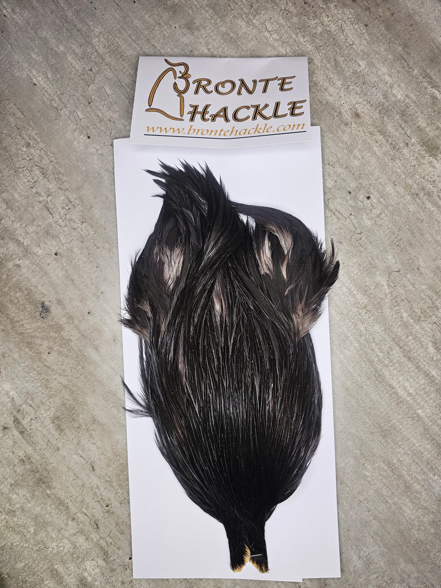 Bronte Hackle Cock Cape   cc-2026-77