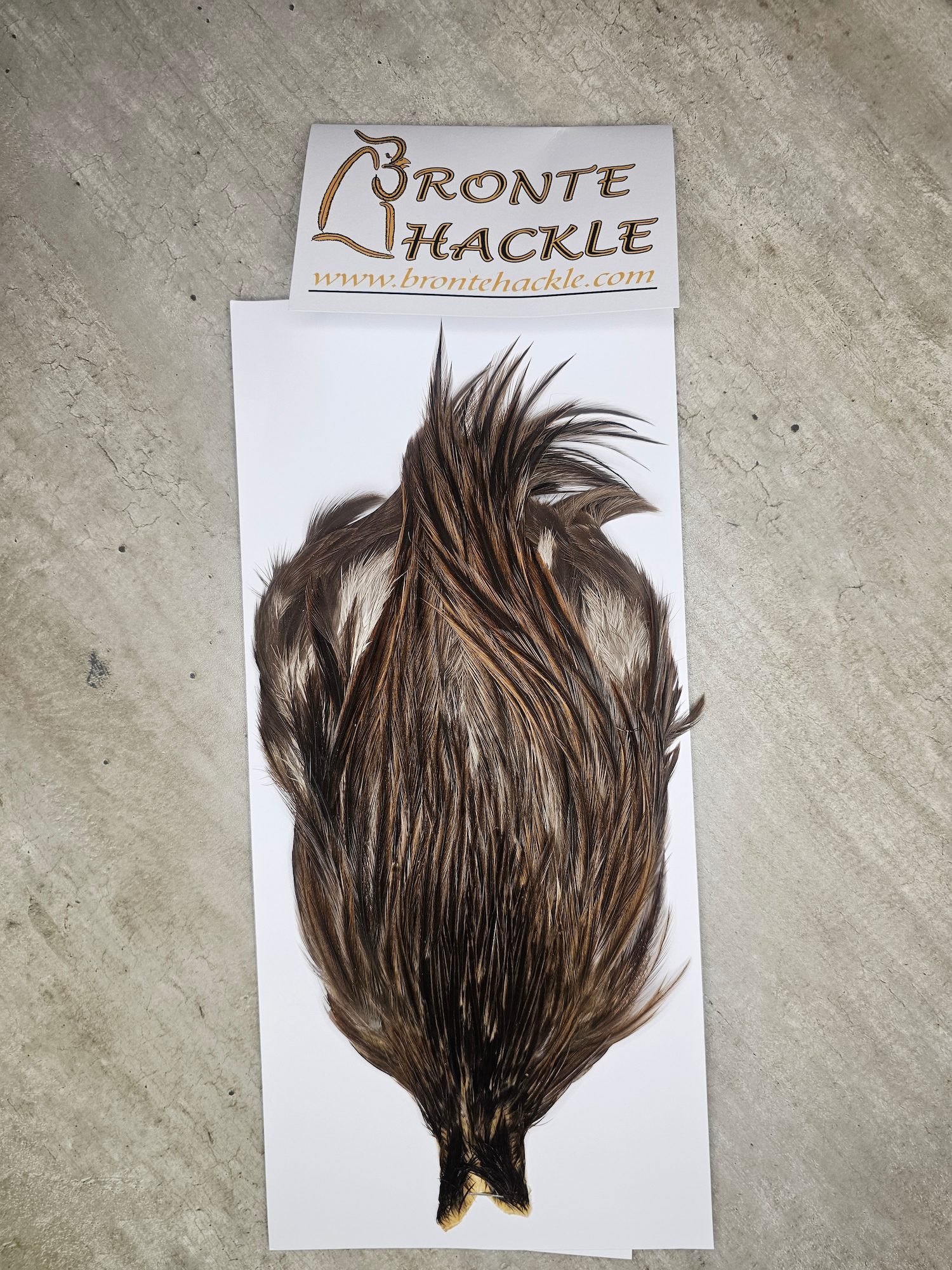 Bronte Hackle Cock Cape   cc-2025-17