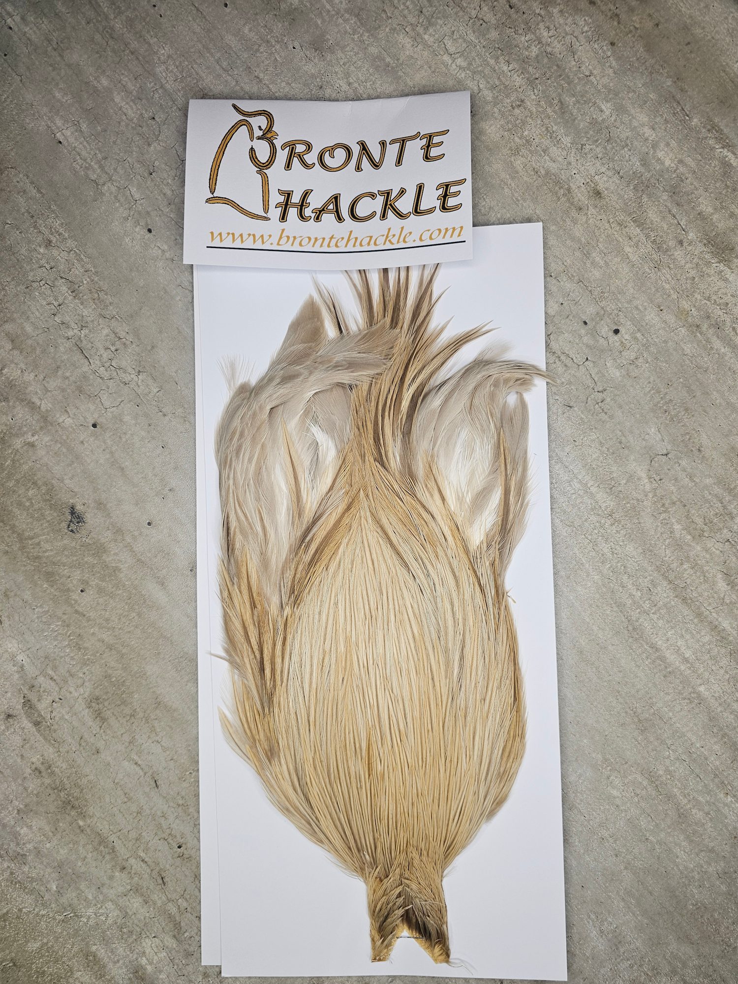 Bronte Hackle Cock Cape   cc-2026-78