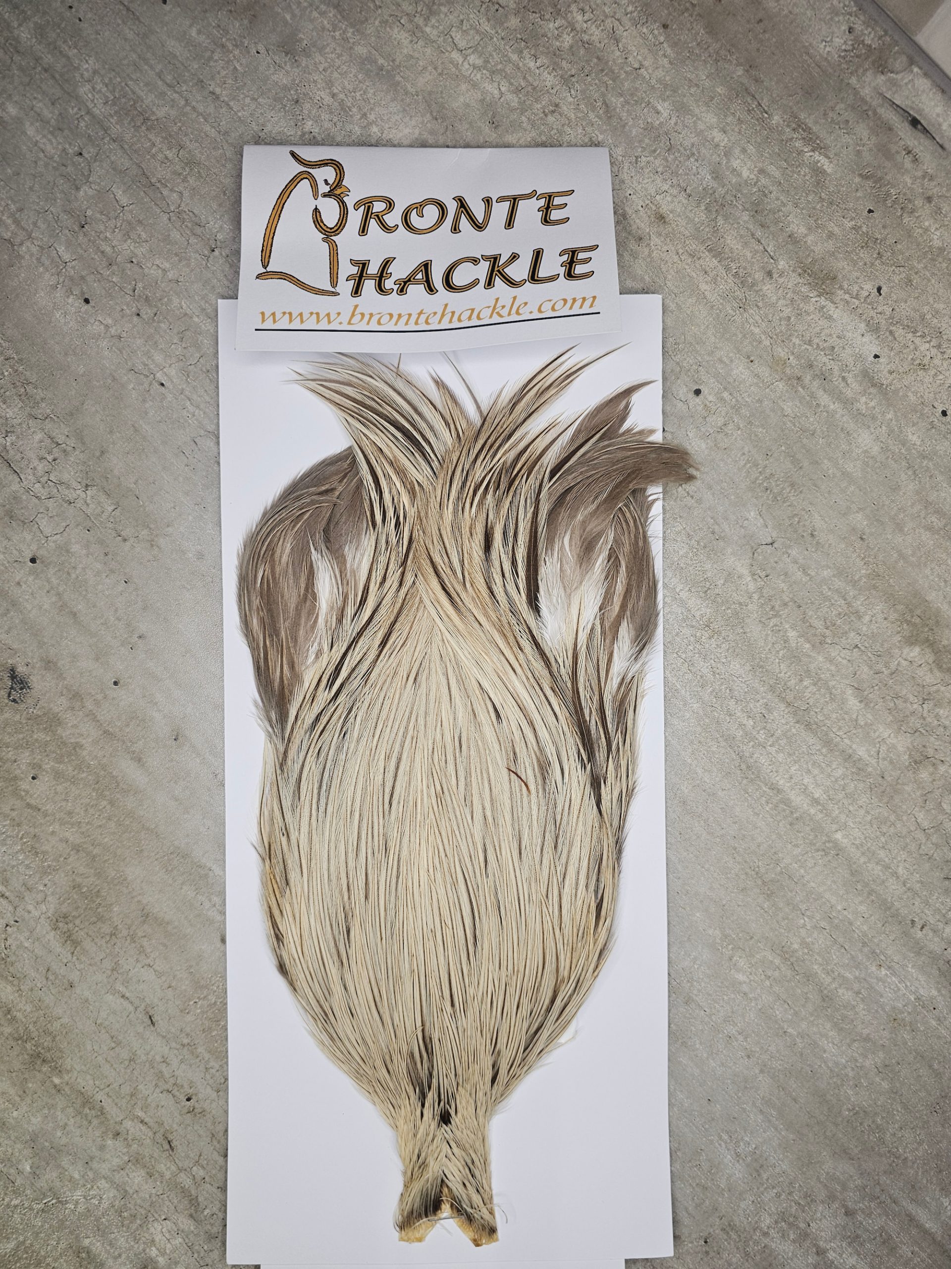 Bronte Hackle Cock Cape   cc-2025-21