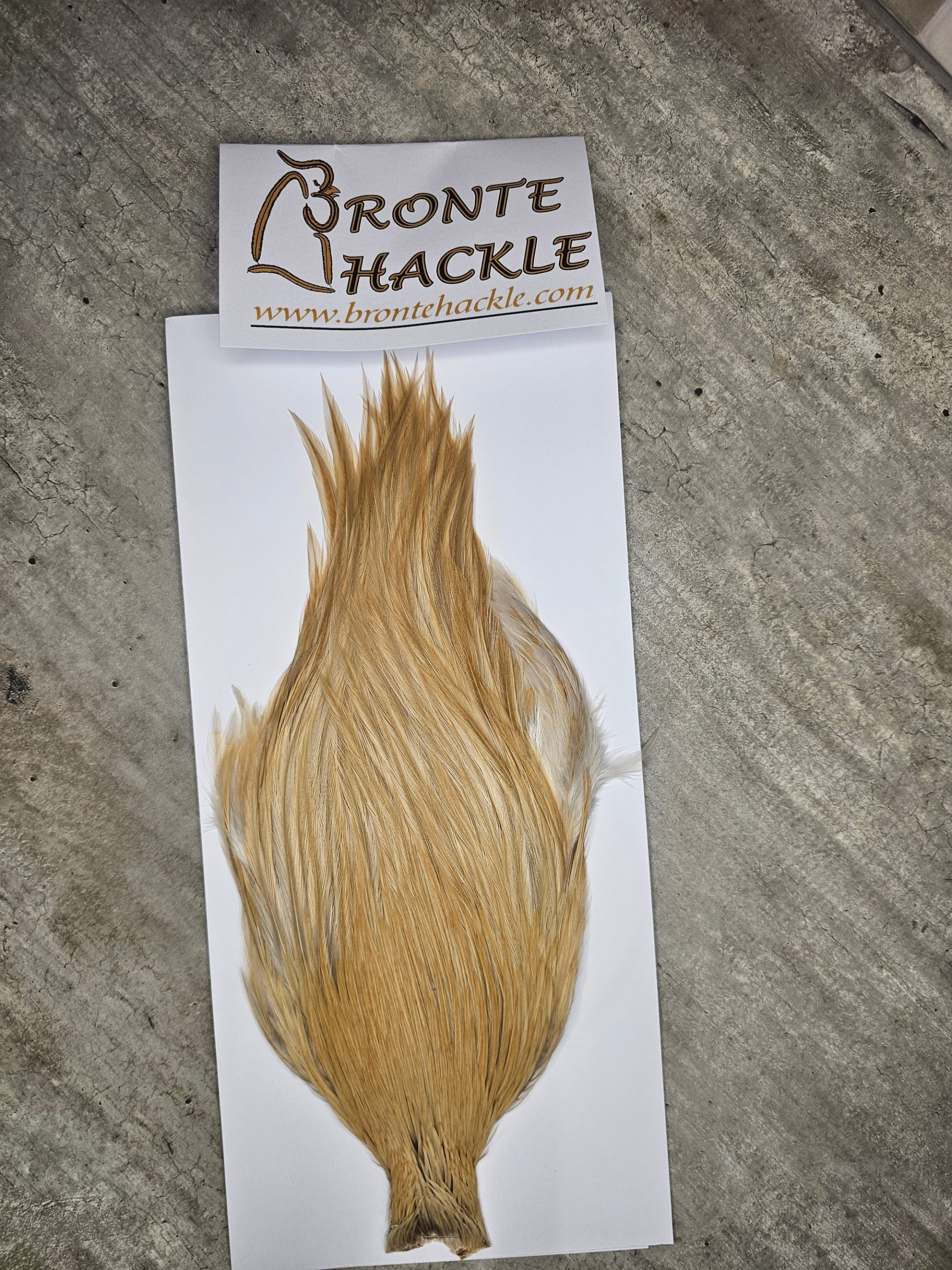 Bronte Hackle Cock Cape   cc-2026-80