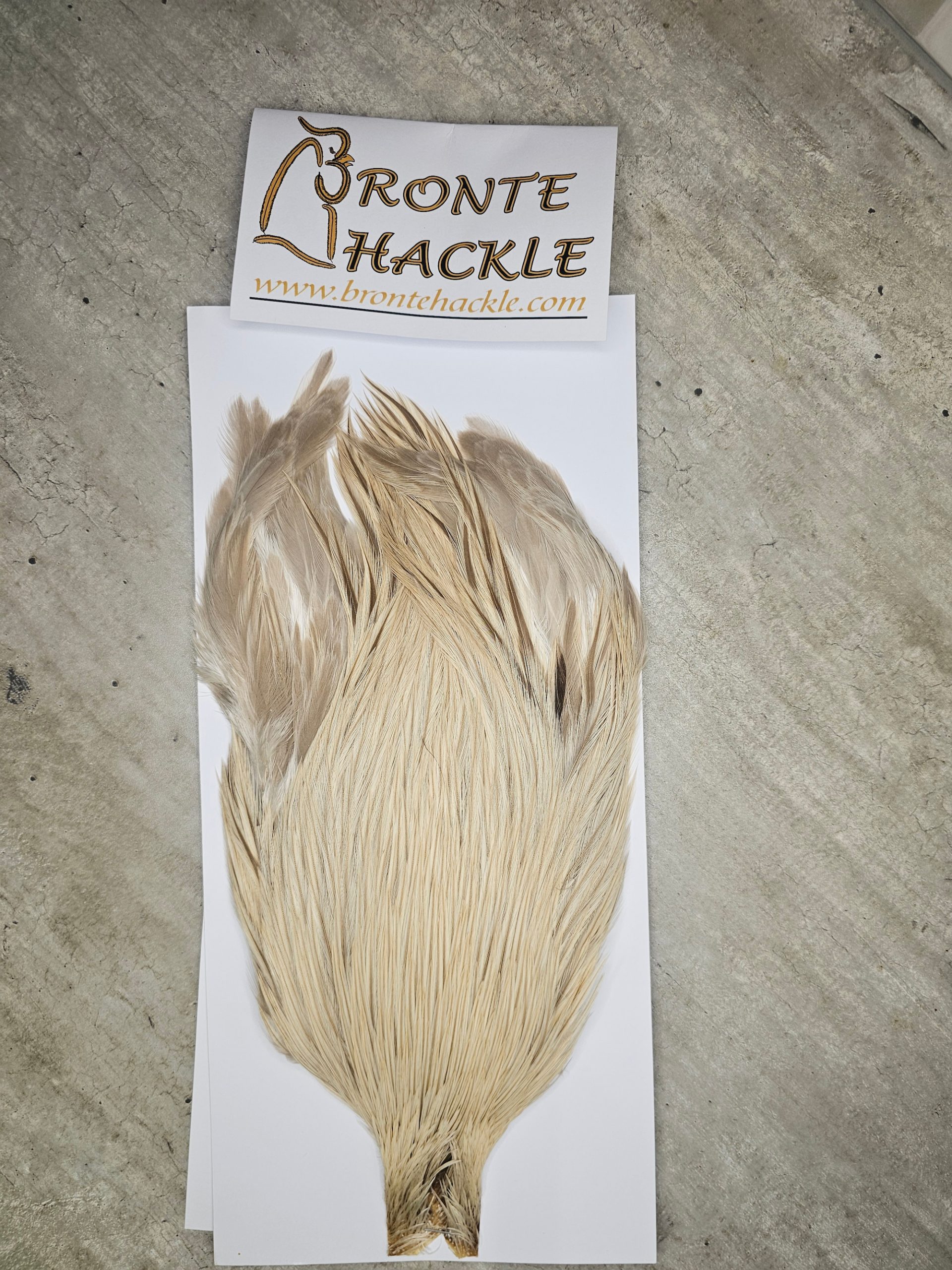 Bronte Hackle Cock Cape   cc-2025-1