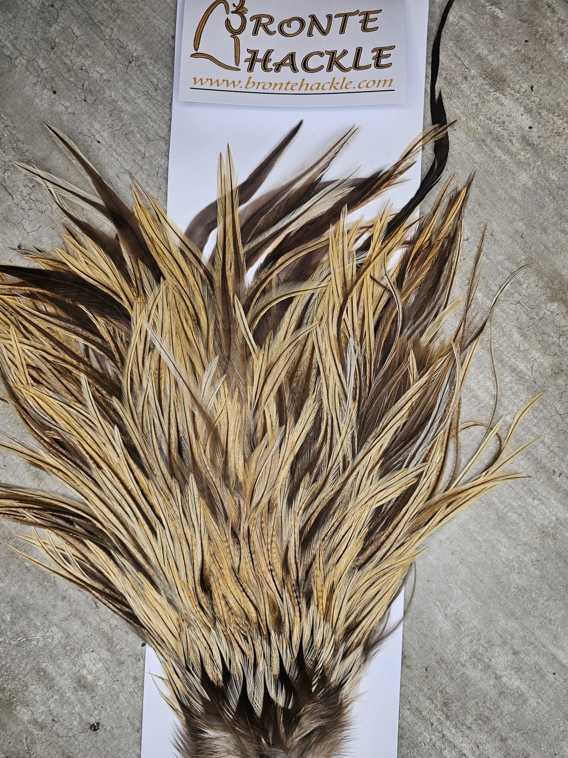 Bronte Hackle Cock Saddles  cs-2026-1