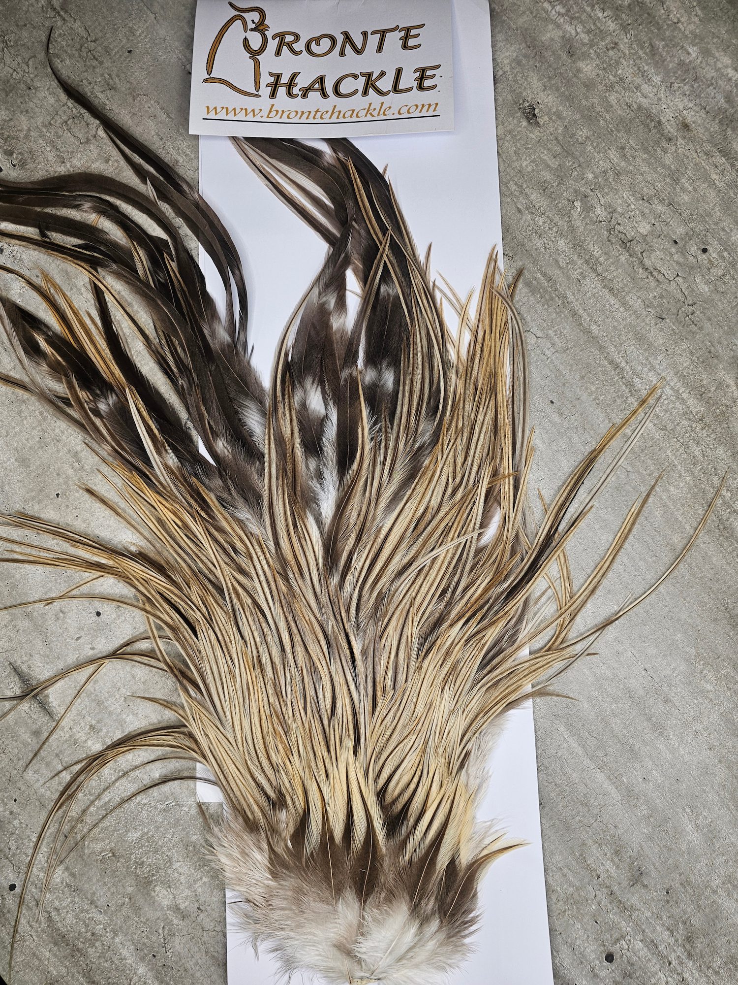 Bronte Hackle Cock Saddles  cs-2026-2