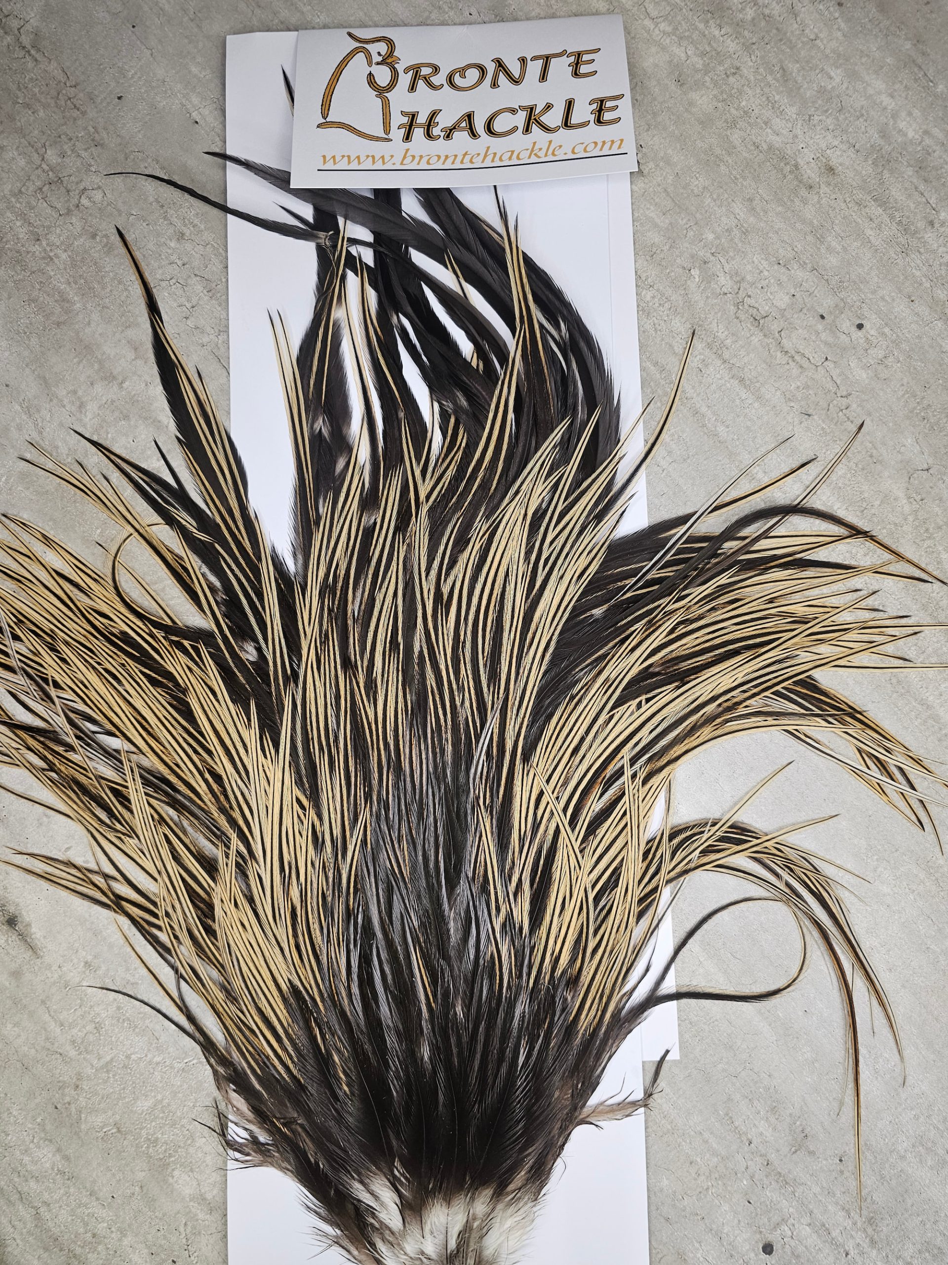 Bronte Hackle Cock Saddles  cs-2026-4
