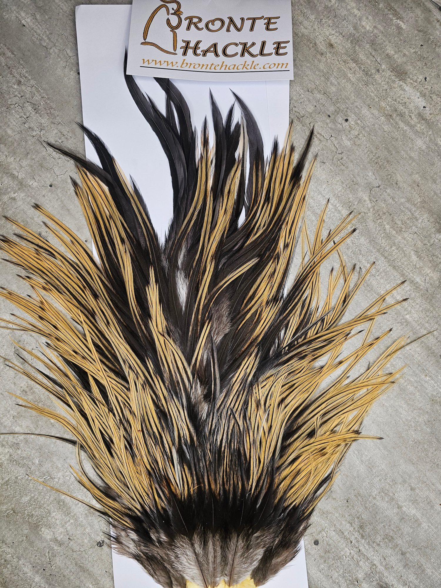 Bronte Hackle Cock Saddles  cs-2026-5