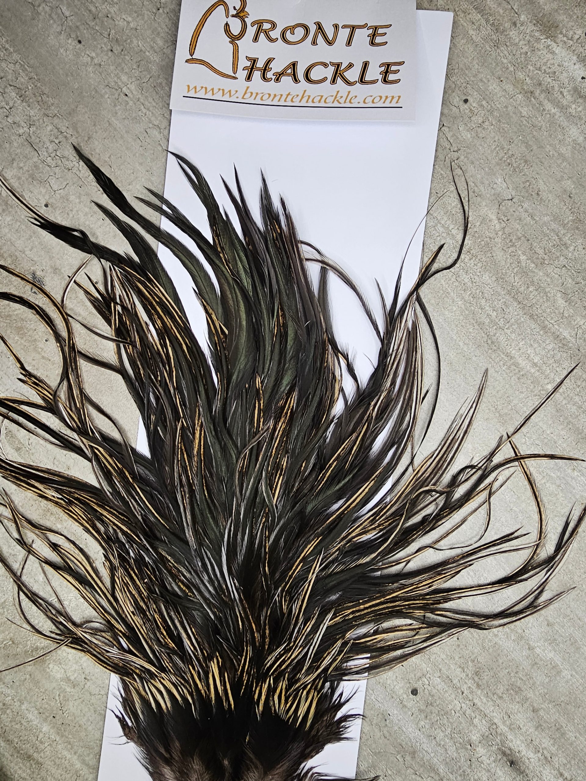 Bronte Hackle Cock Saddles  cs-2026-8