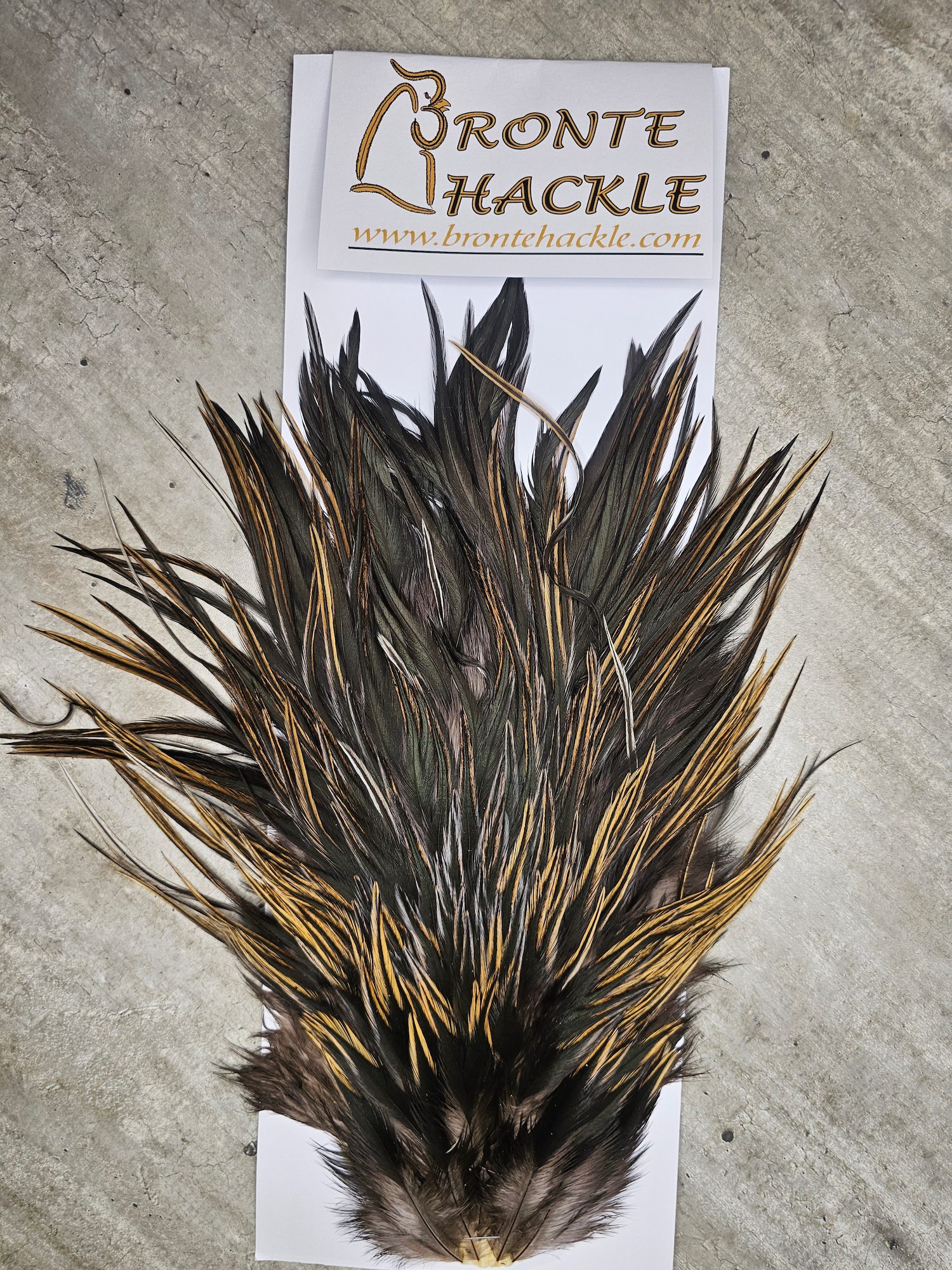Bronte Hackle Cock Saddles  cs-2026-9
