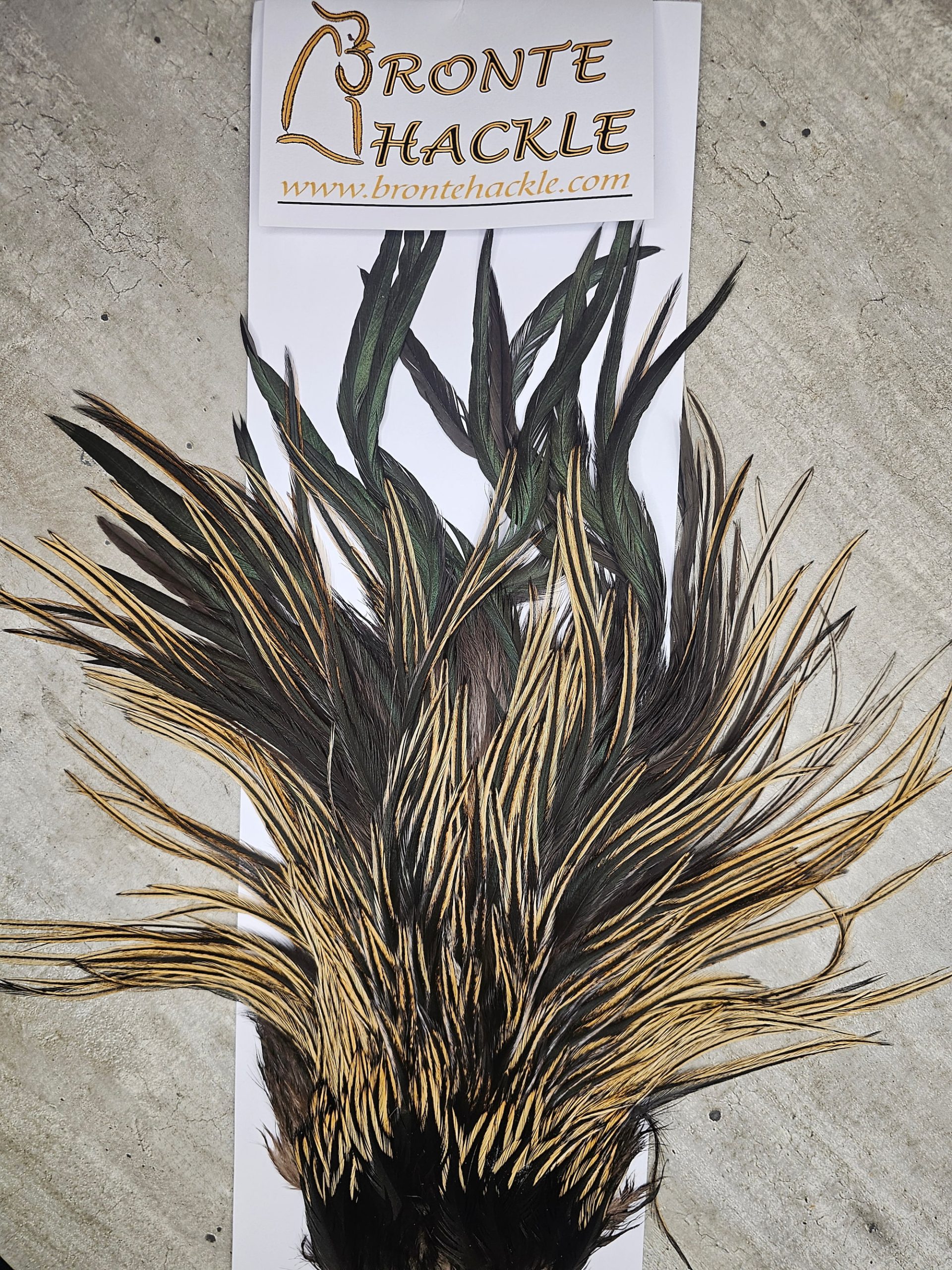 Bronte Hackle Cock Saddles  cs-2026-10