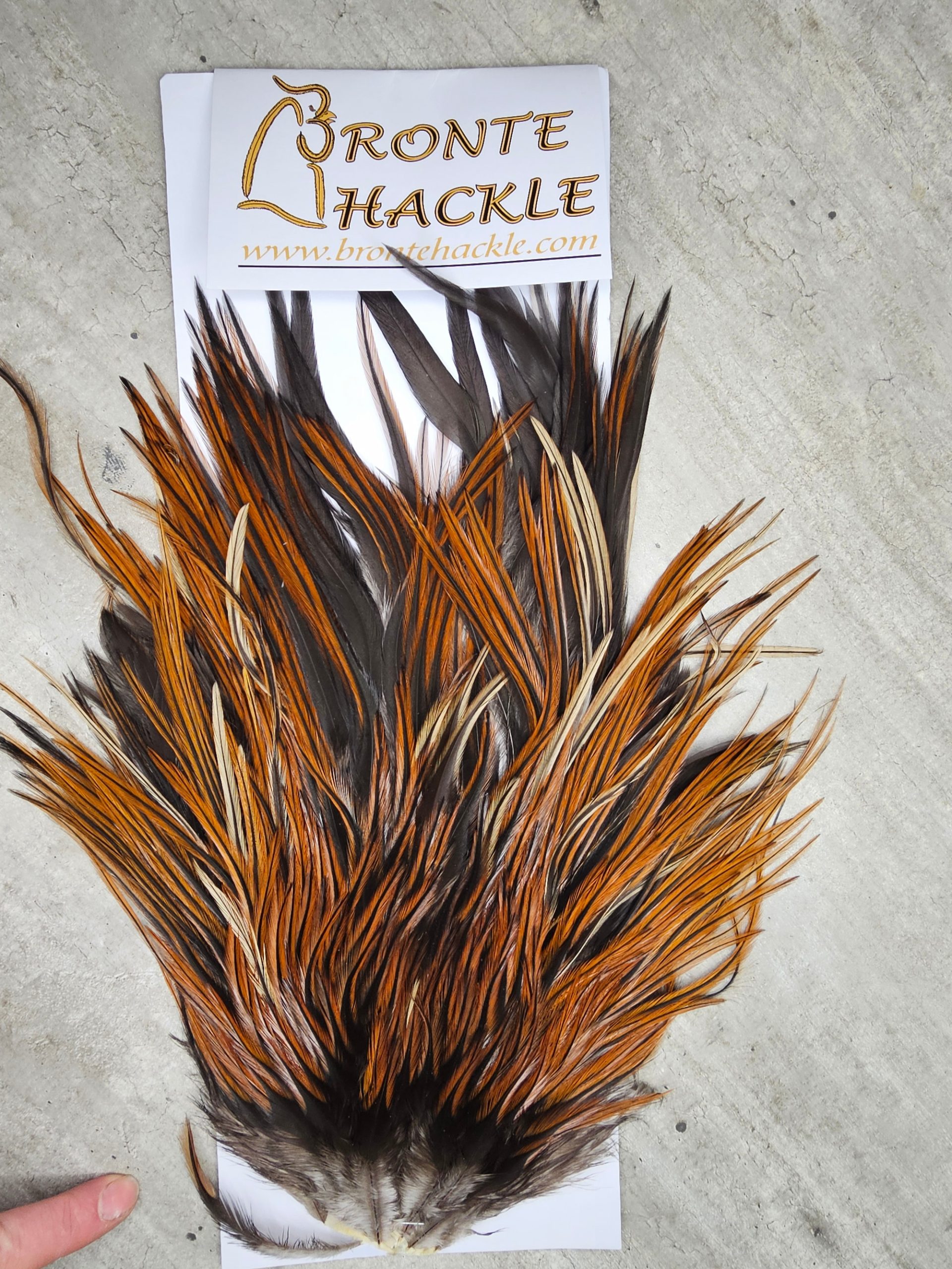 Bronte Hackle Cock Saddles  cs-2026-11