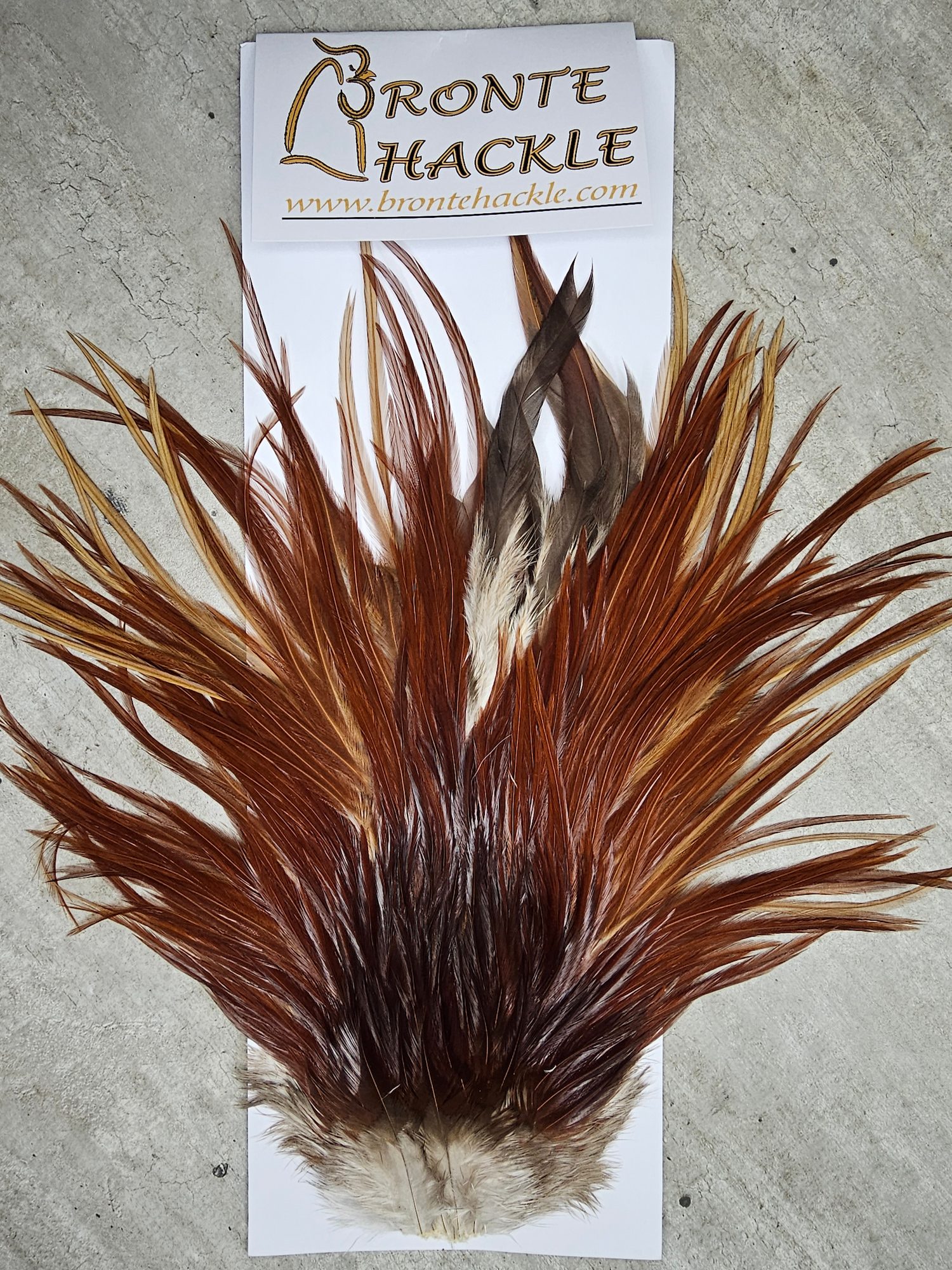 Bronte Hackle Cock Saddles  cs-2026-12