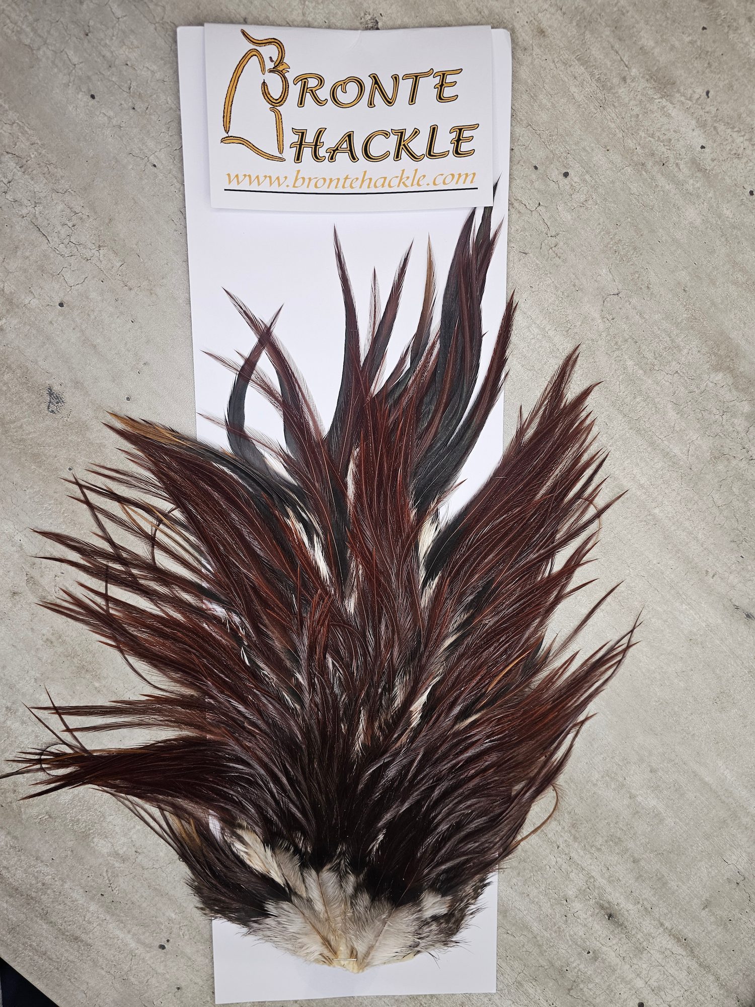 Bronte Hackle Cock Saddles  cs-2026-13
