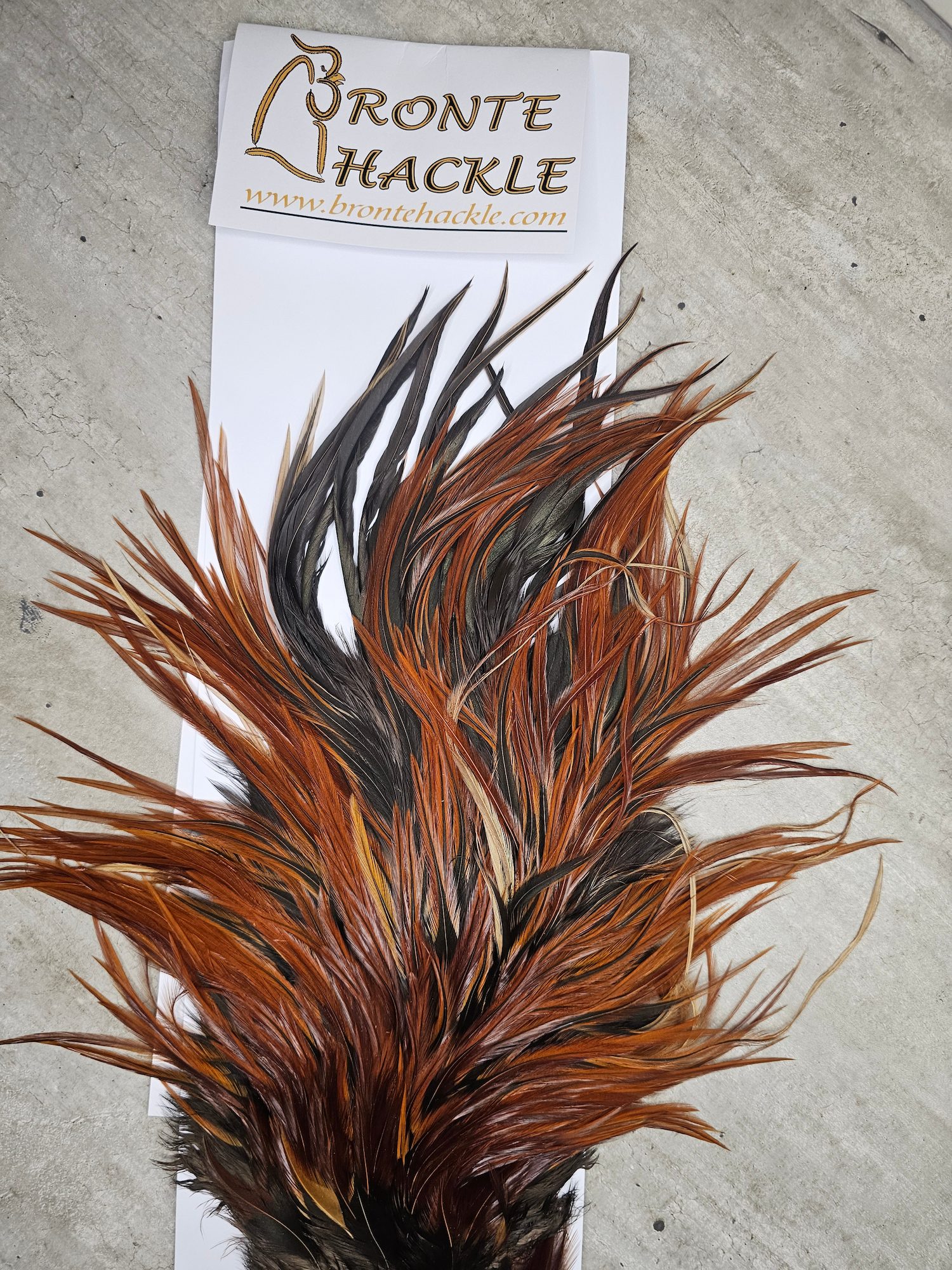 Bronte Hackle Cock Saddles  cs-2026-15