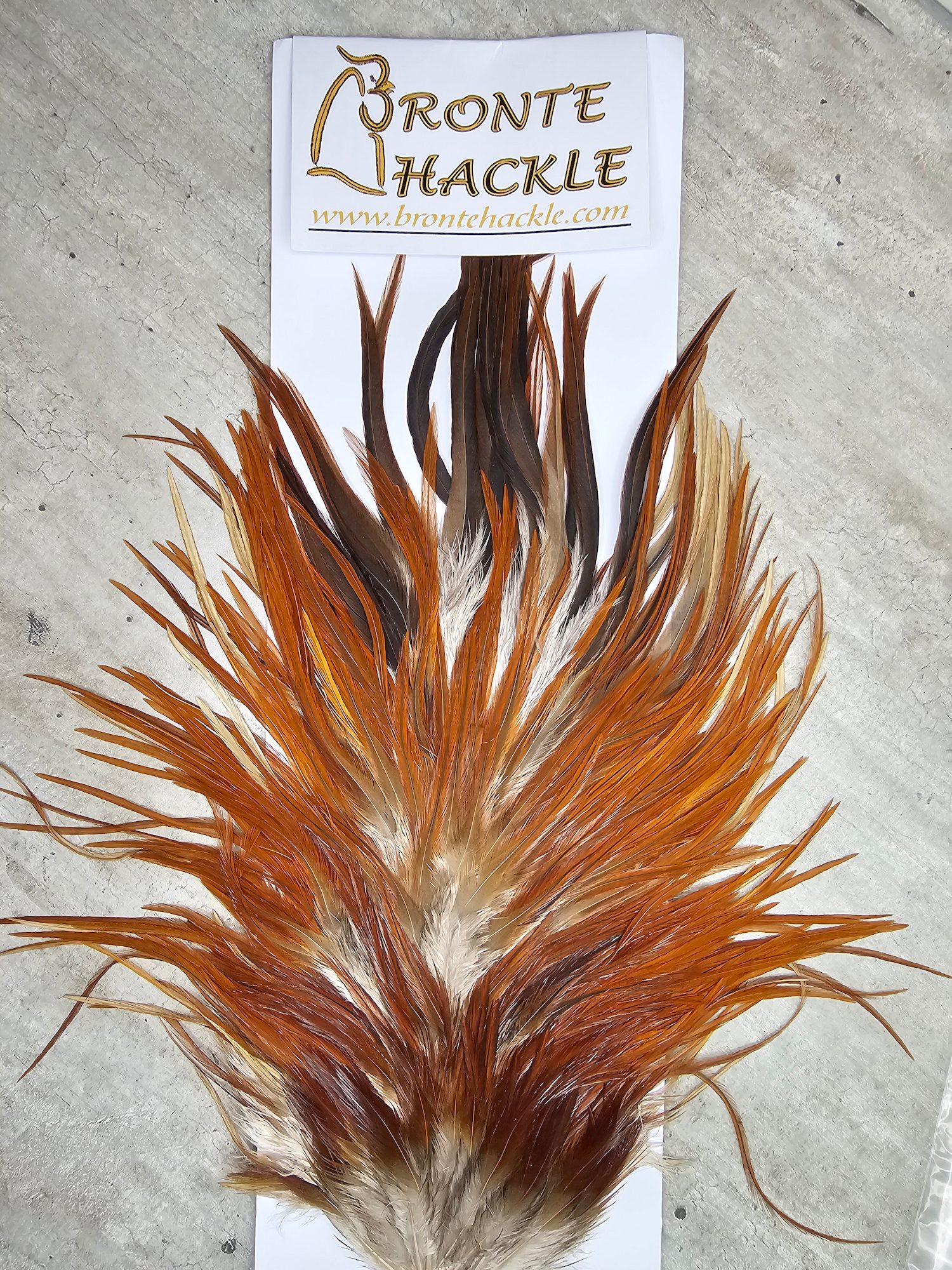 Bronte Hackle Cock Saddles  cs-2026-16