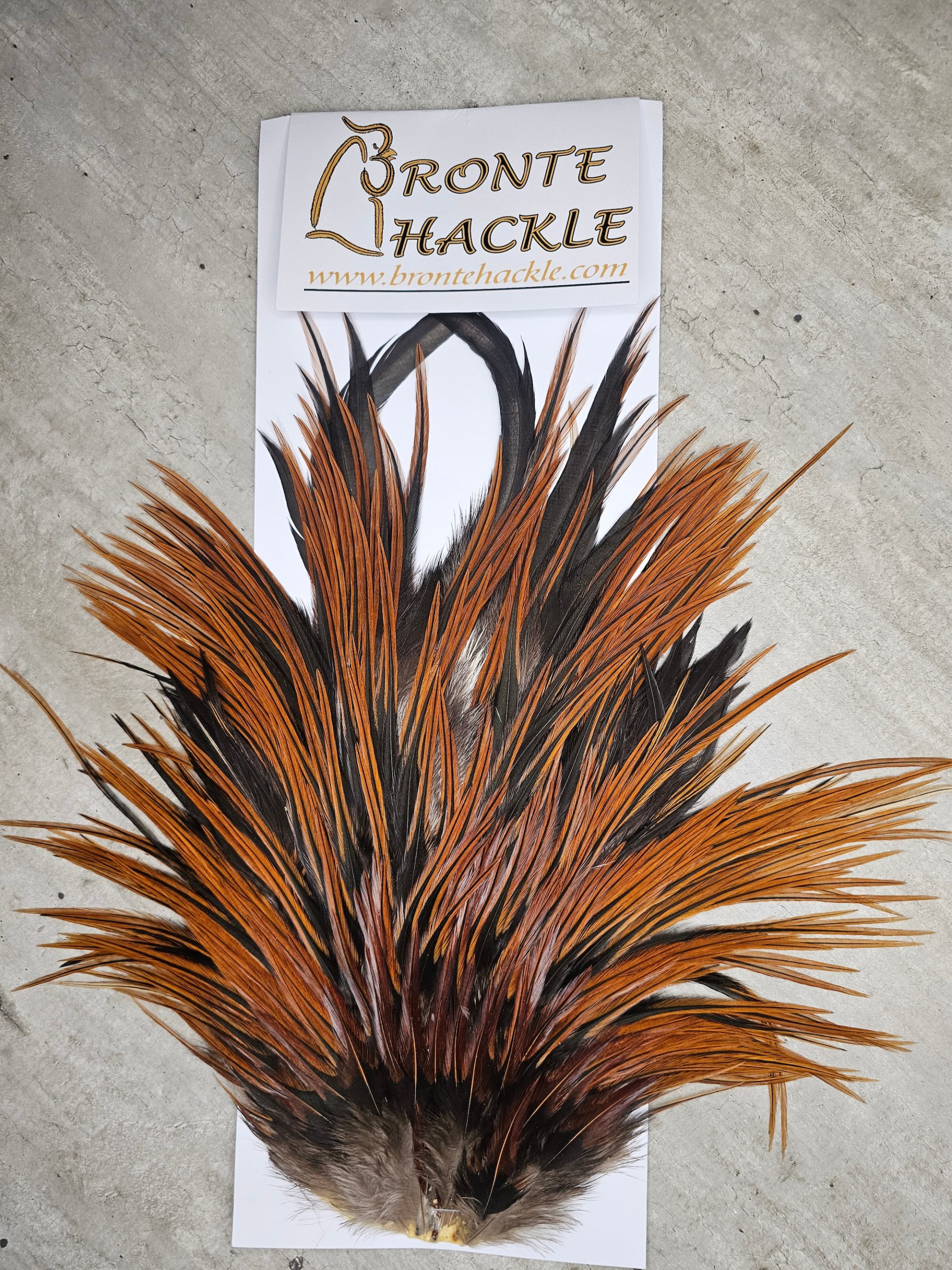 Bronte Hackle Cock Saddles  cs-2026-17
