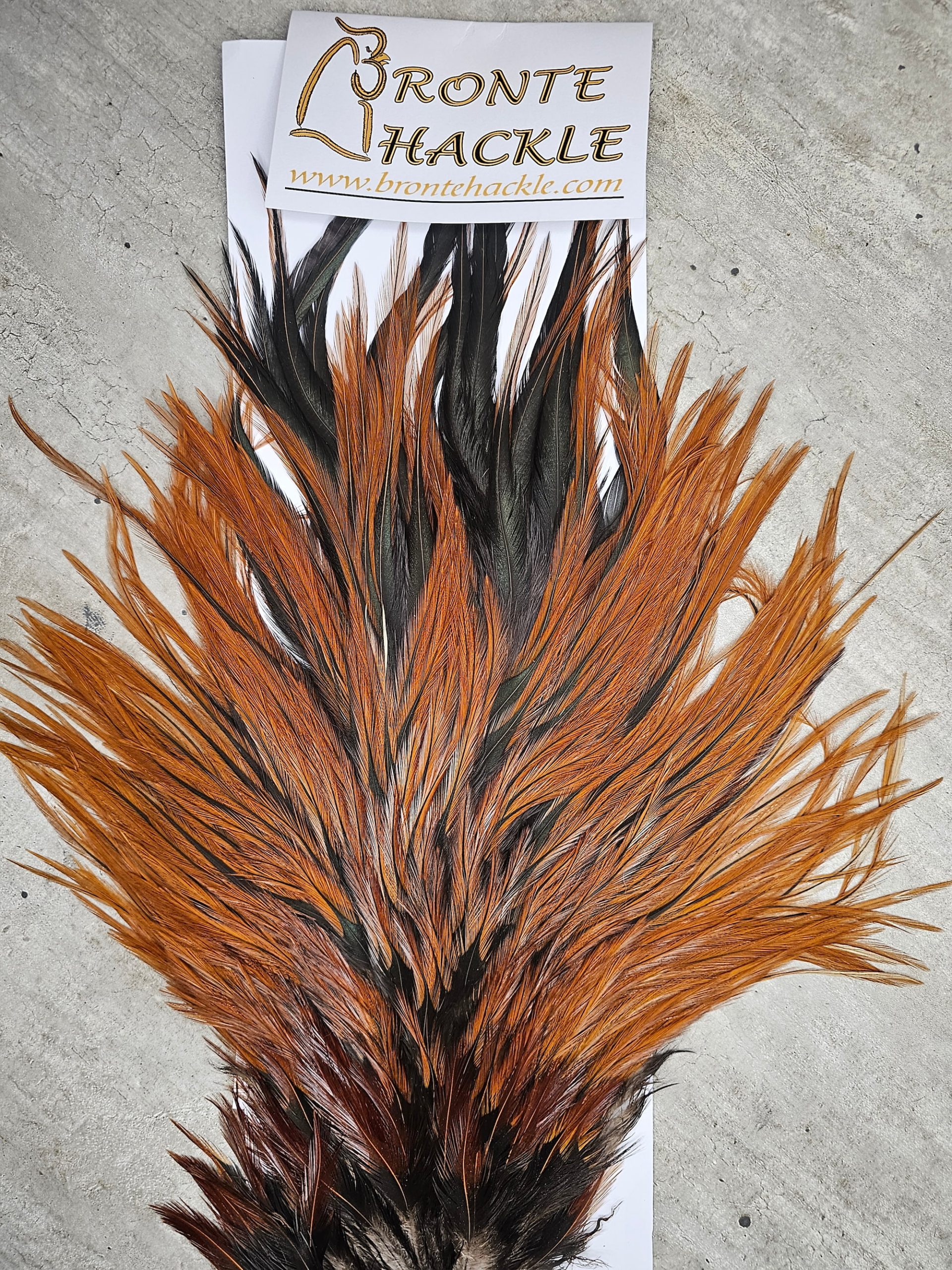 Bronte Hackle Cock Saddles  cs-2026-18