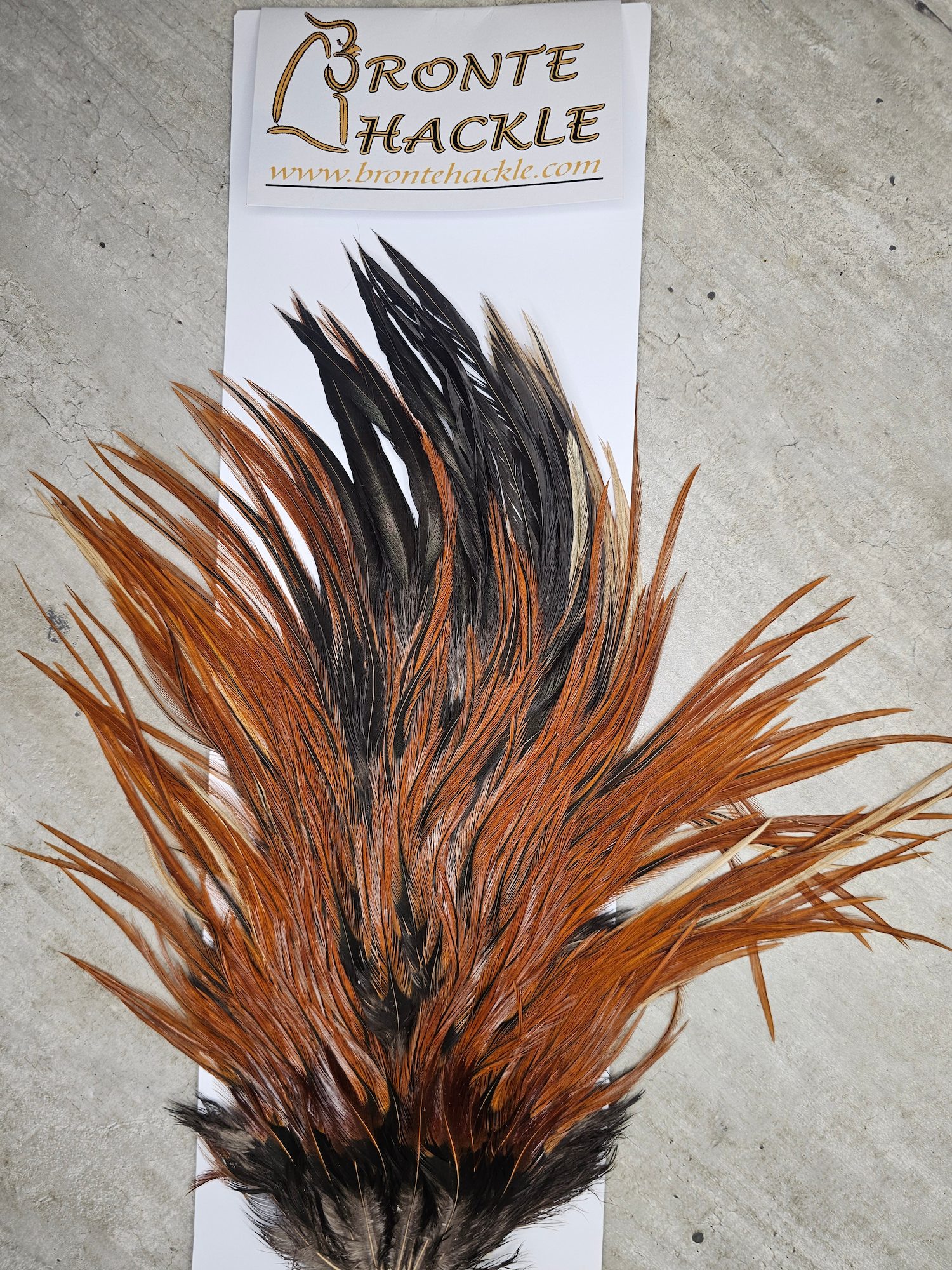 Bronte Hackle Cock Saddles  cs-2026-19