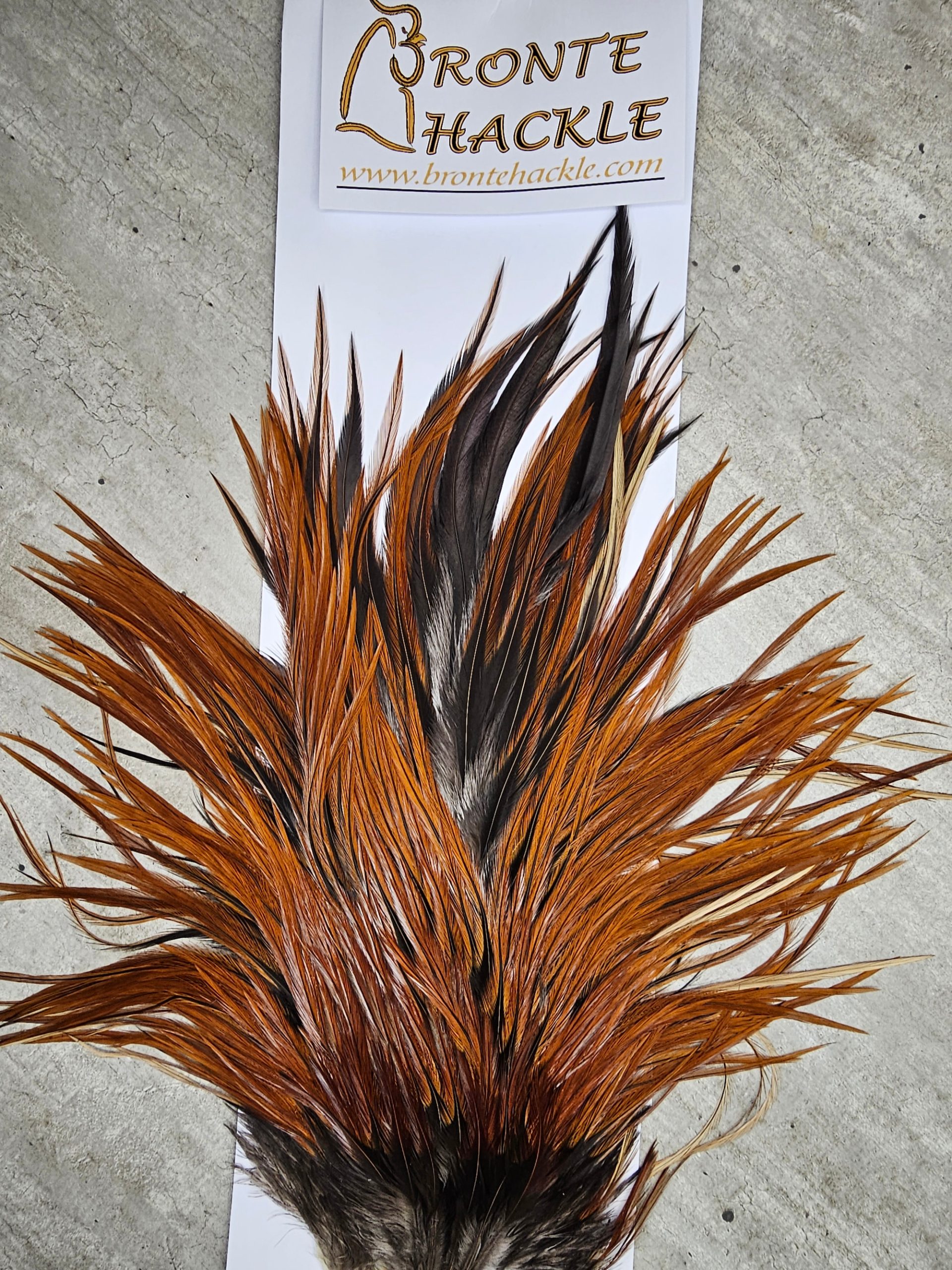 Bronte Hackle Cock Saddles  cs-2026-20