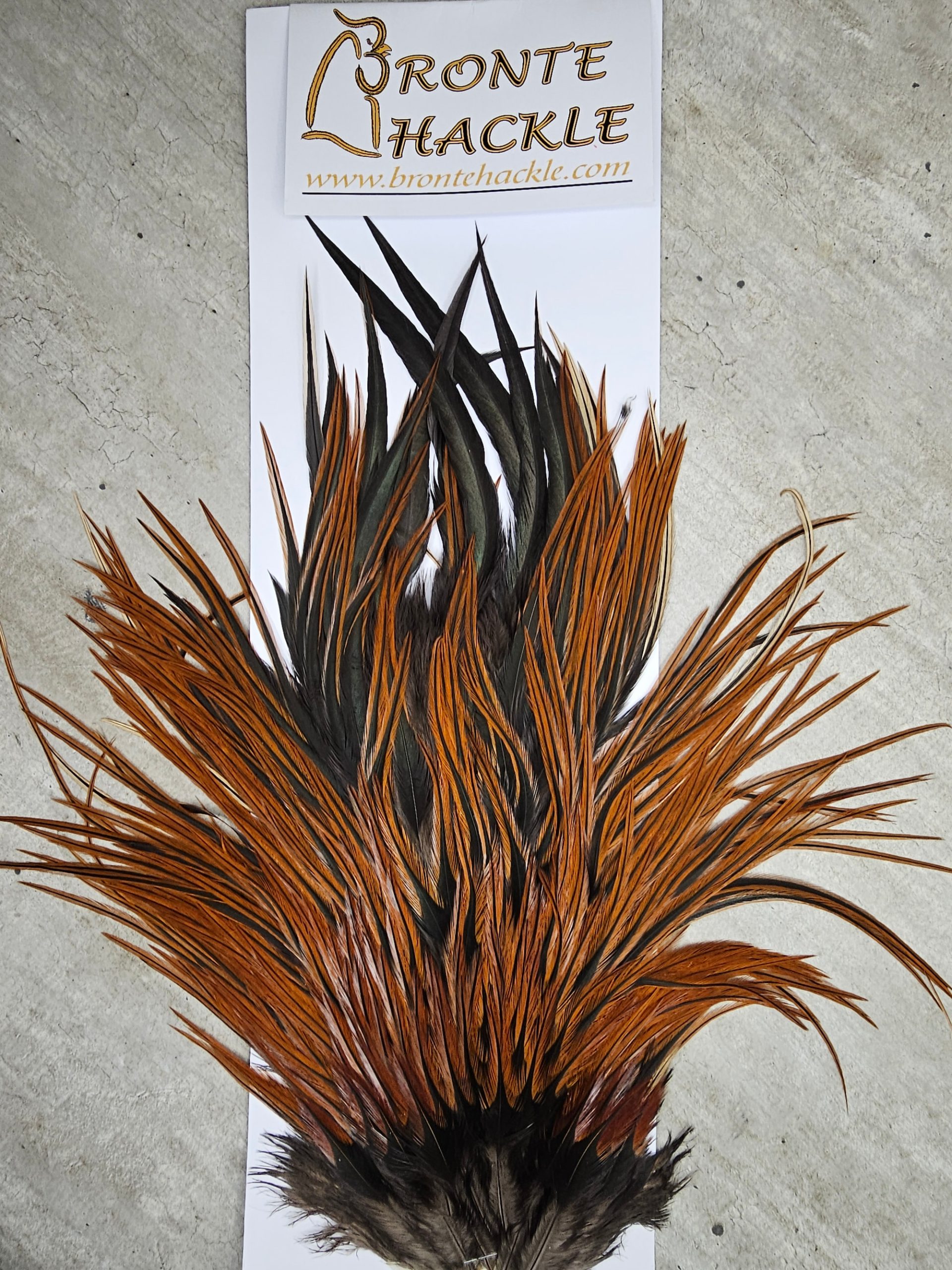 Bronte Hackle Cock Saddles  cs-2026-21