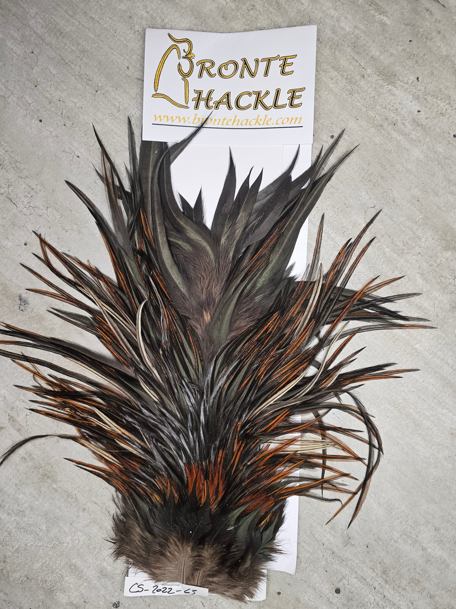 Bronte Hackle Cock Saddles  cs-2022-63