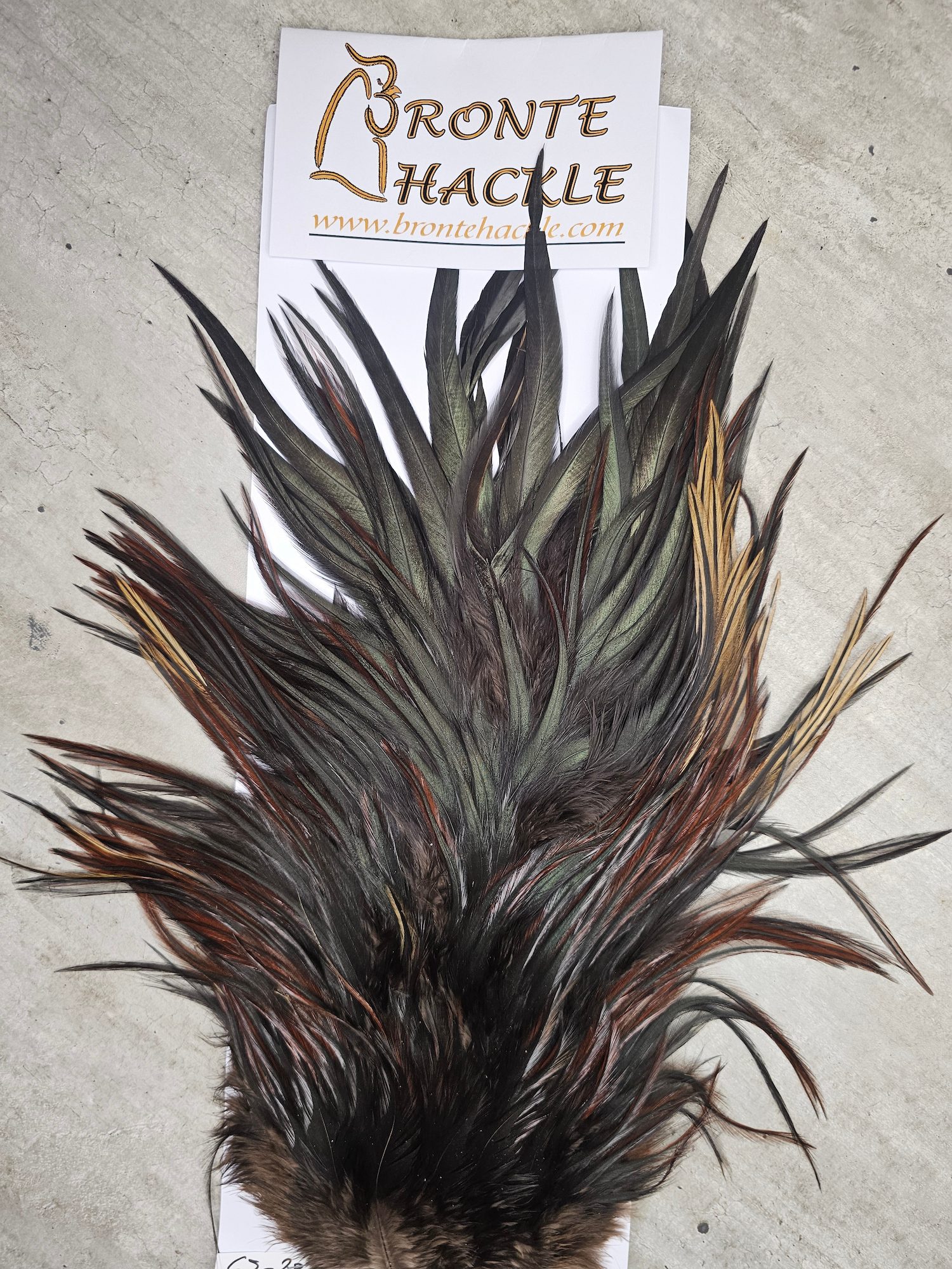 Bronte Hackle Cock Saddles  cs-2022-64