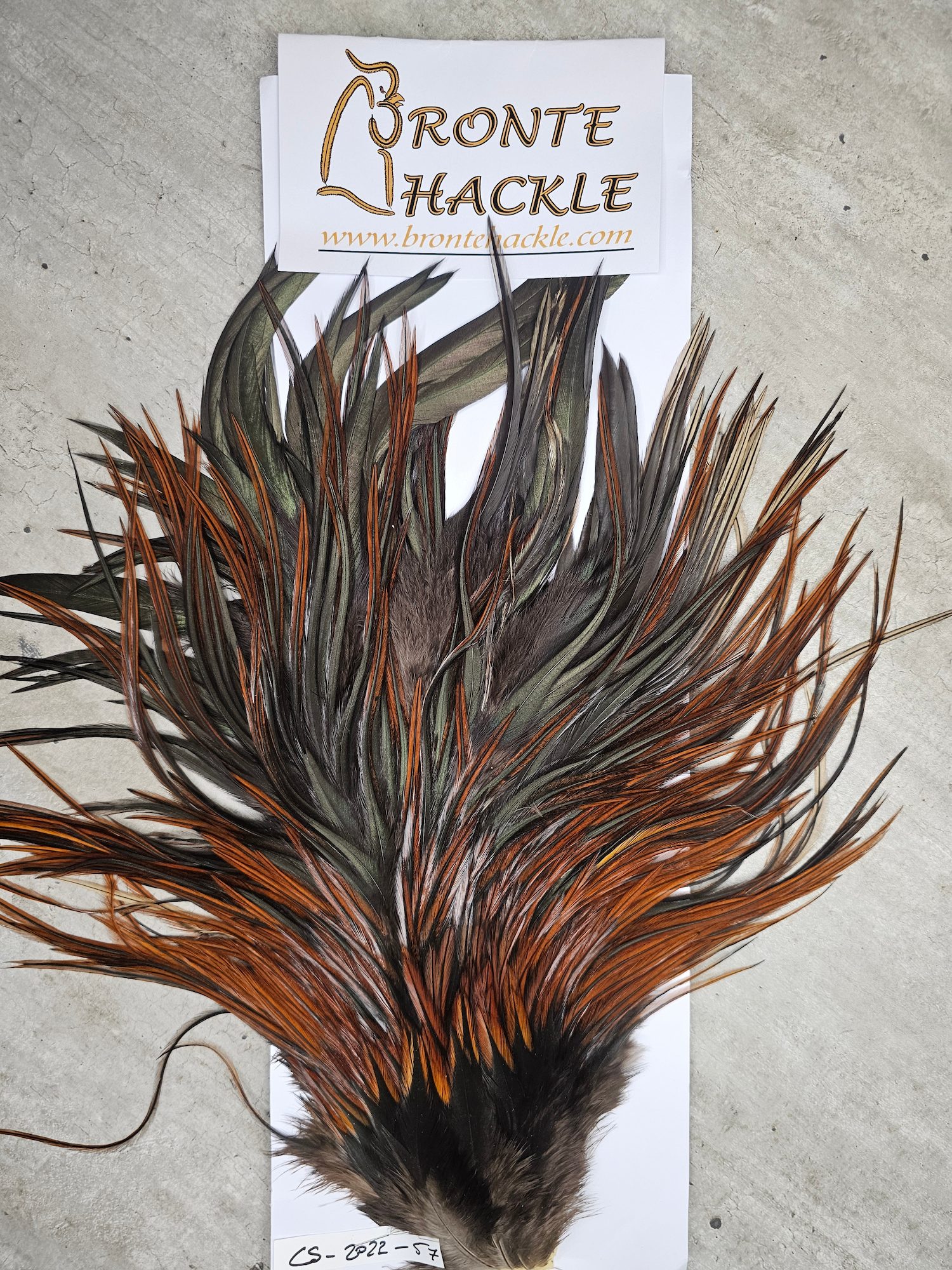 Bronte Hackle Cock Saddles  cs-2022-57